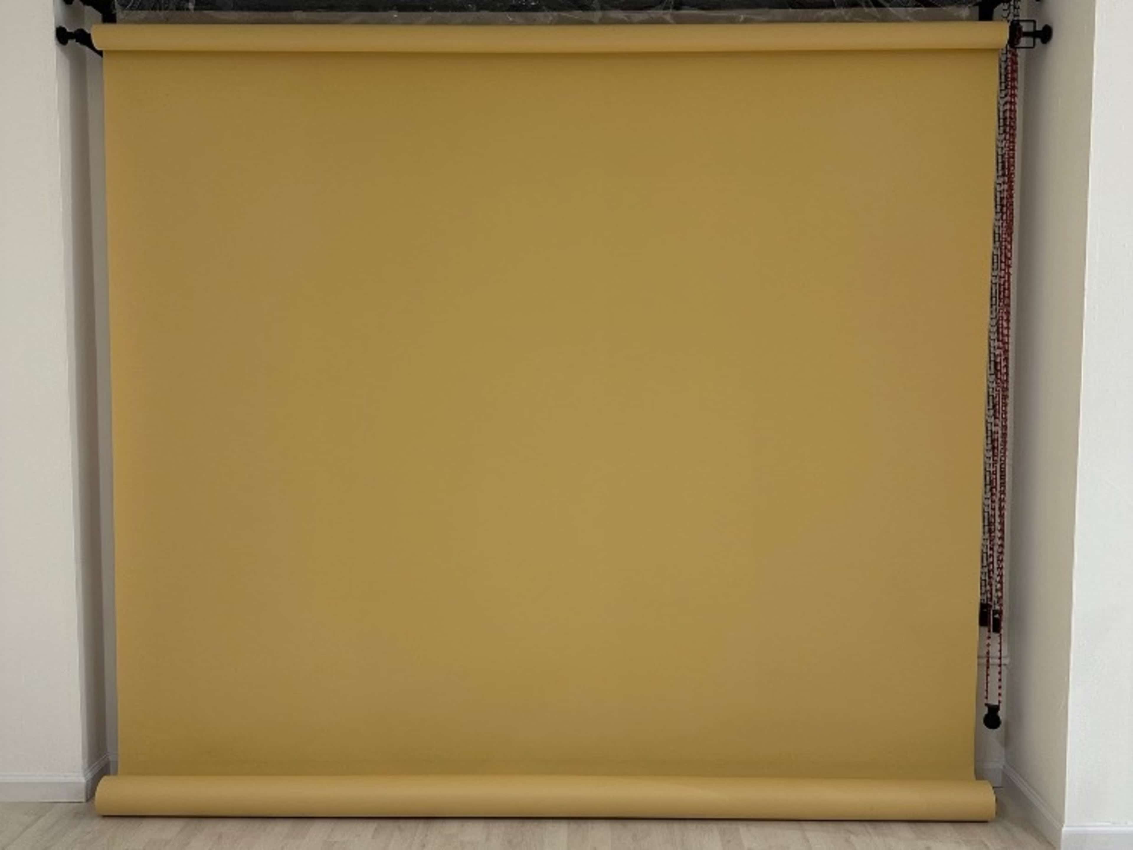 Seamless Colored backdrop paper 