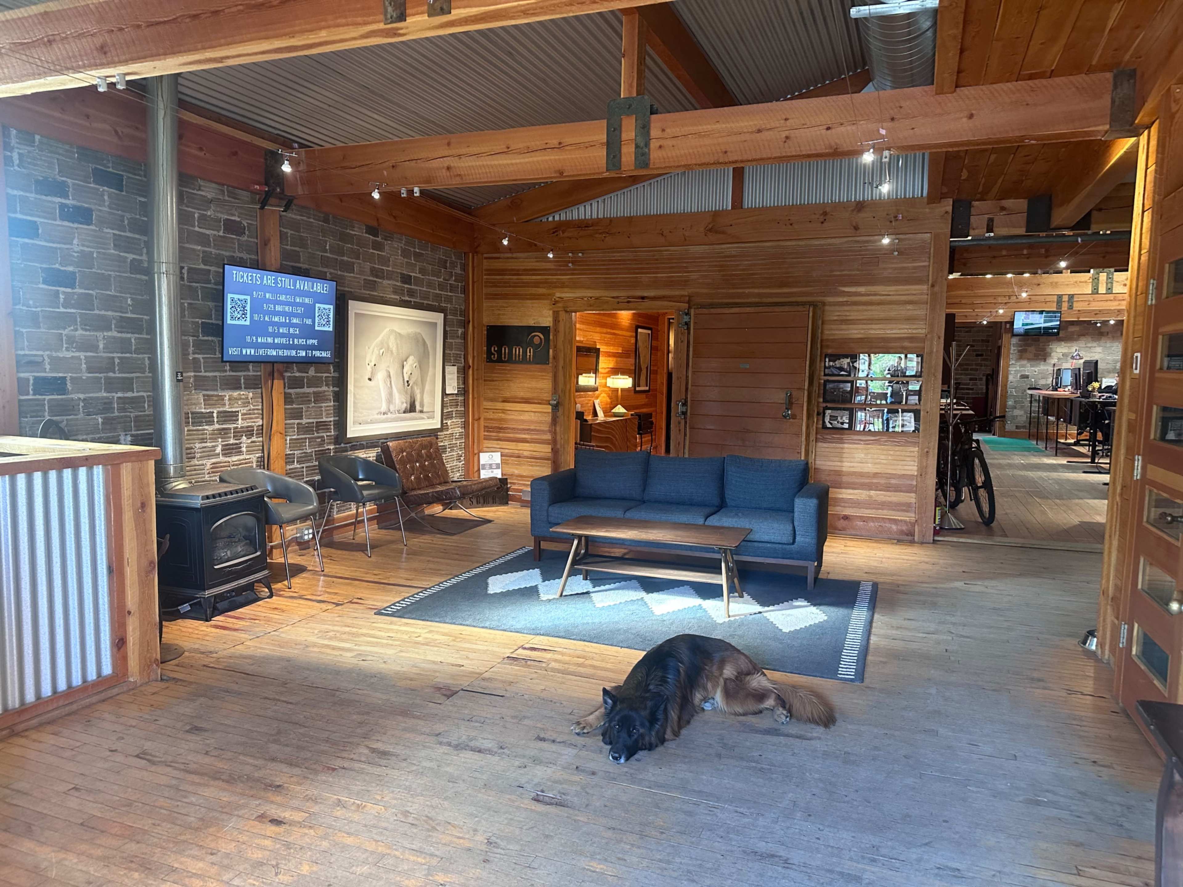 The interior of a wooden cabin features a seating area with a couch, a flat-screen TV, and a dog resting on the floor.