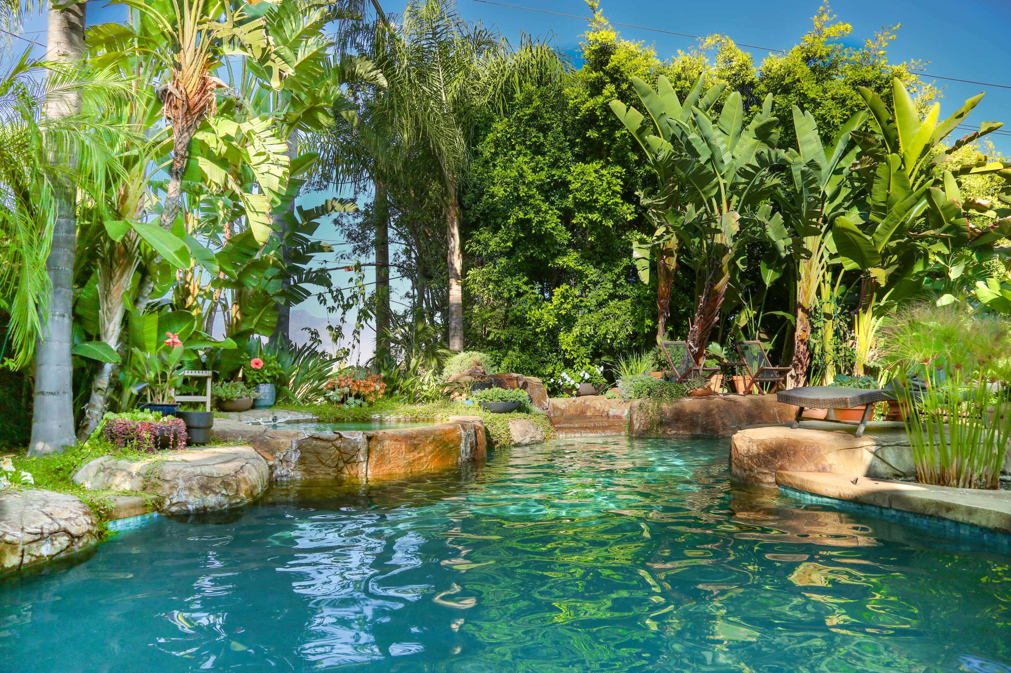The image shows a serene swimming pool surrounded by tropical plants and trees.