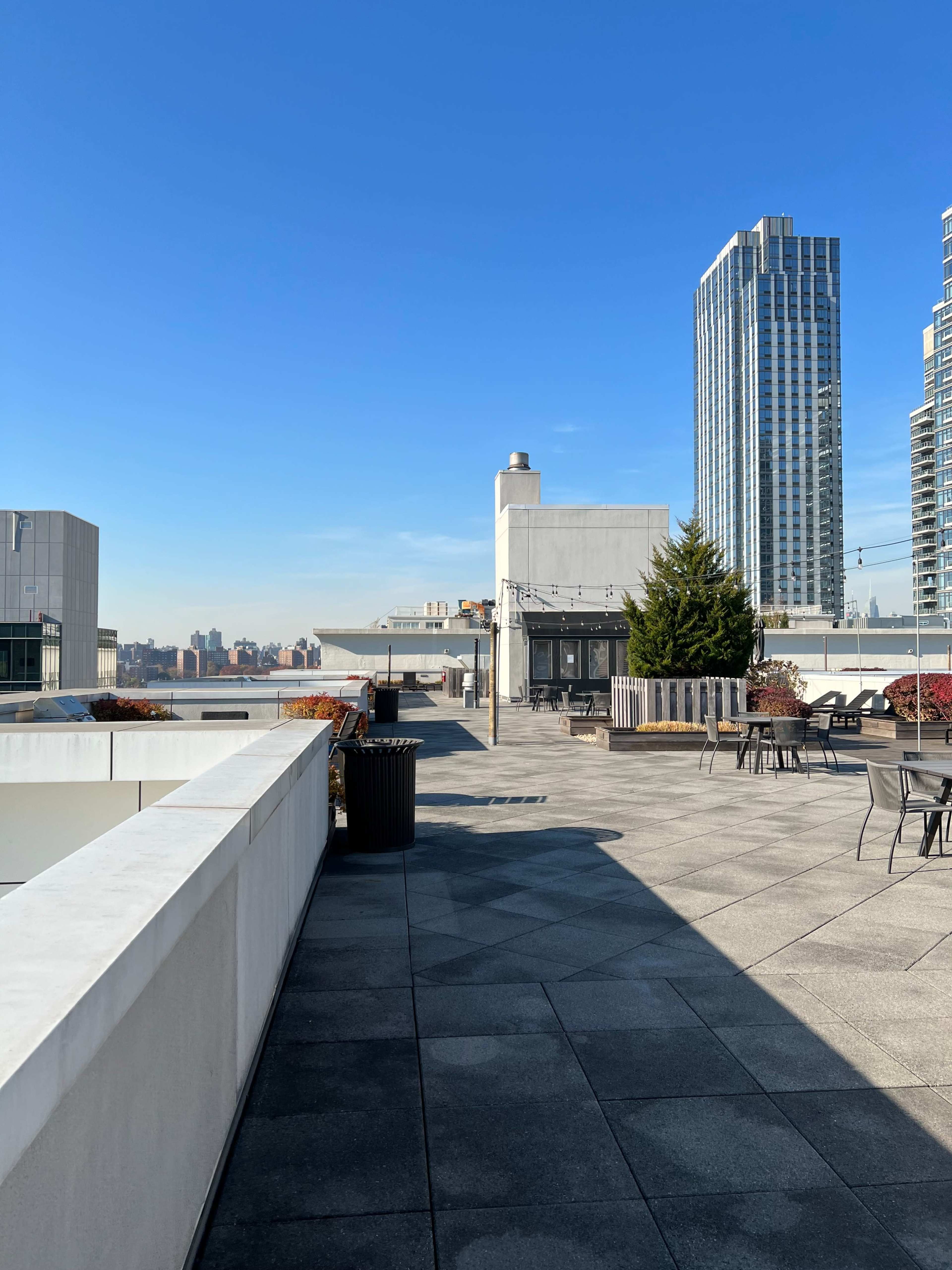 A rooftop terrace featuring a paved walkway, a tree, seating areas, and tall buildings in the background under a clear blue sky.