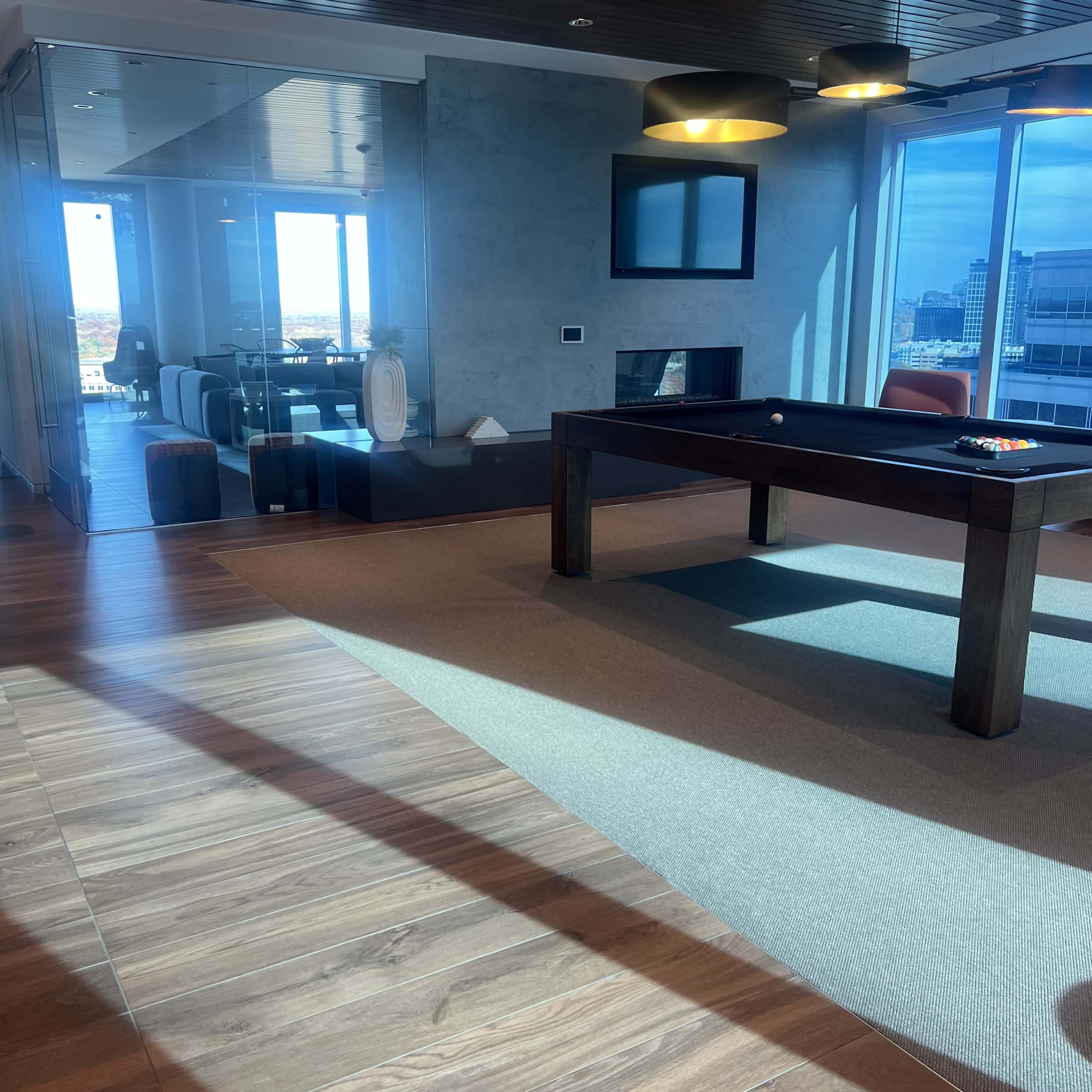 Modern Clubroom Lounge w/ Skyline Views Image in Hunter Mill District, Reston, VA