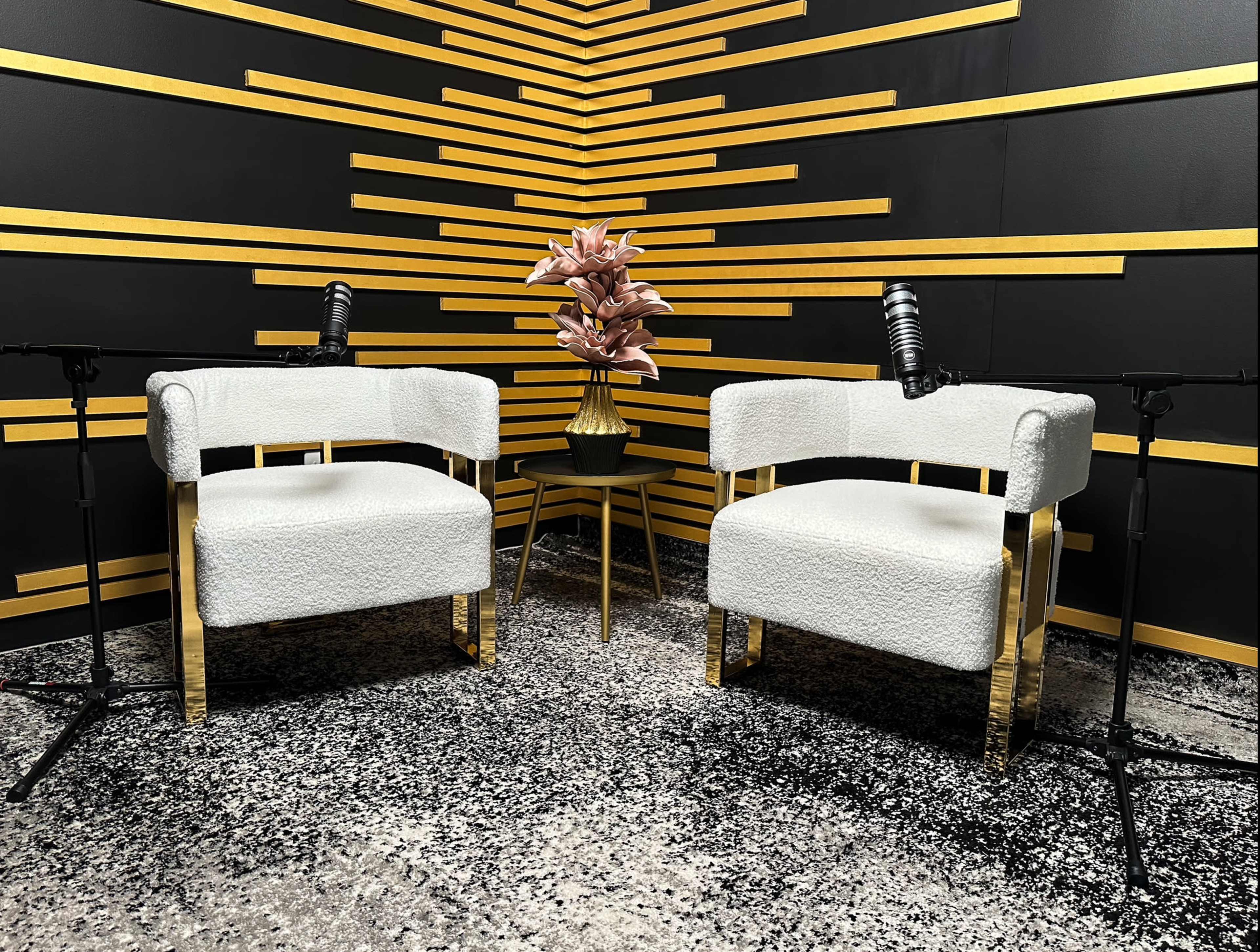 Professional Podcast Recording studio Image in Iowa Colony, Rosharon, TX