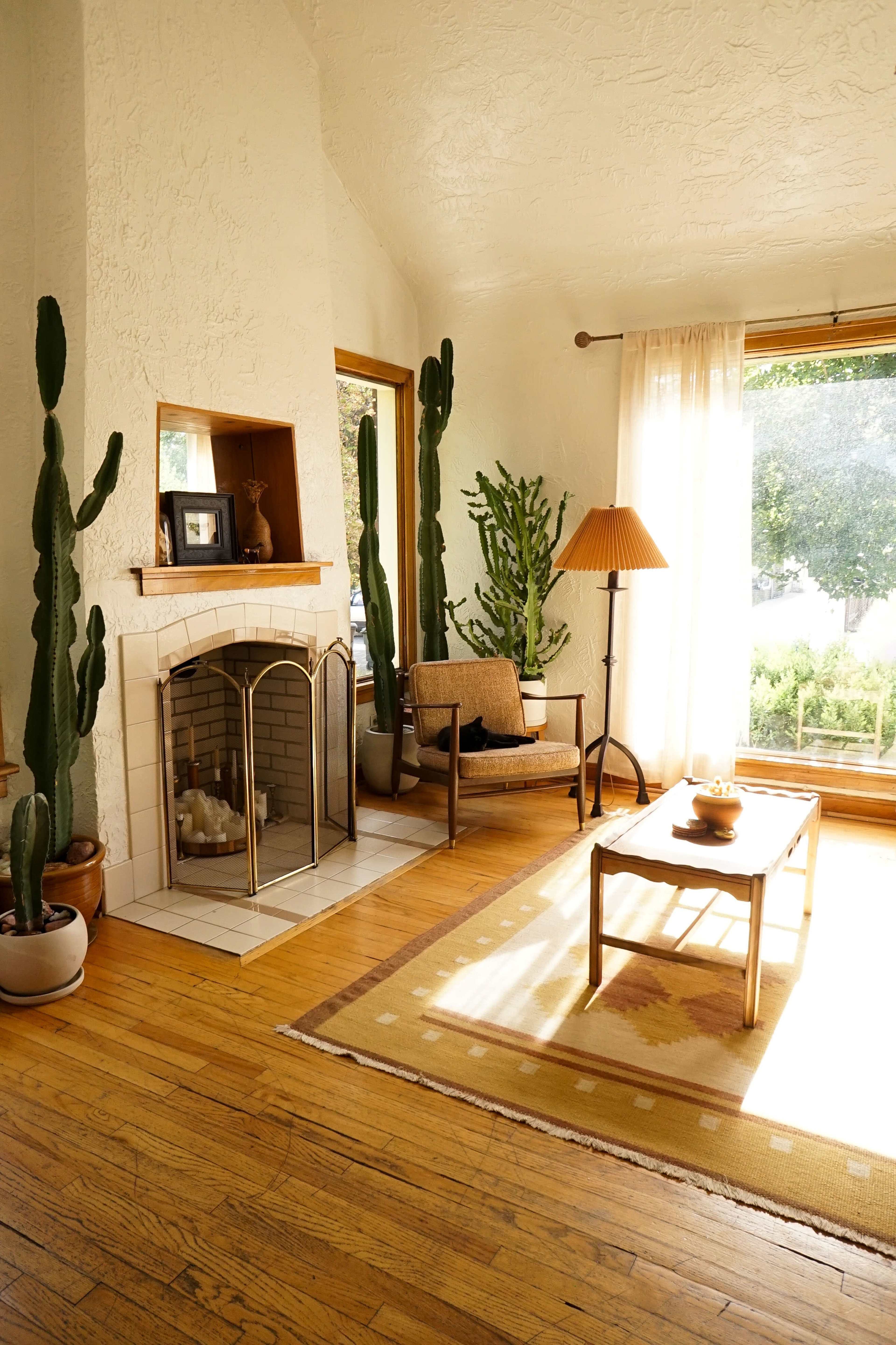 A cozy living room features a fireplace, a wooden chair, a coffee table, and tall cacti placed near a large window.