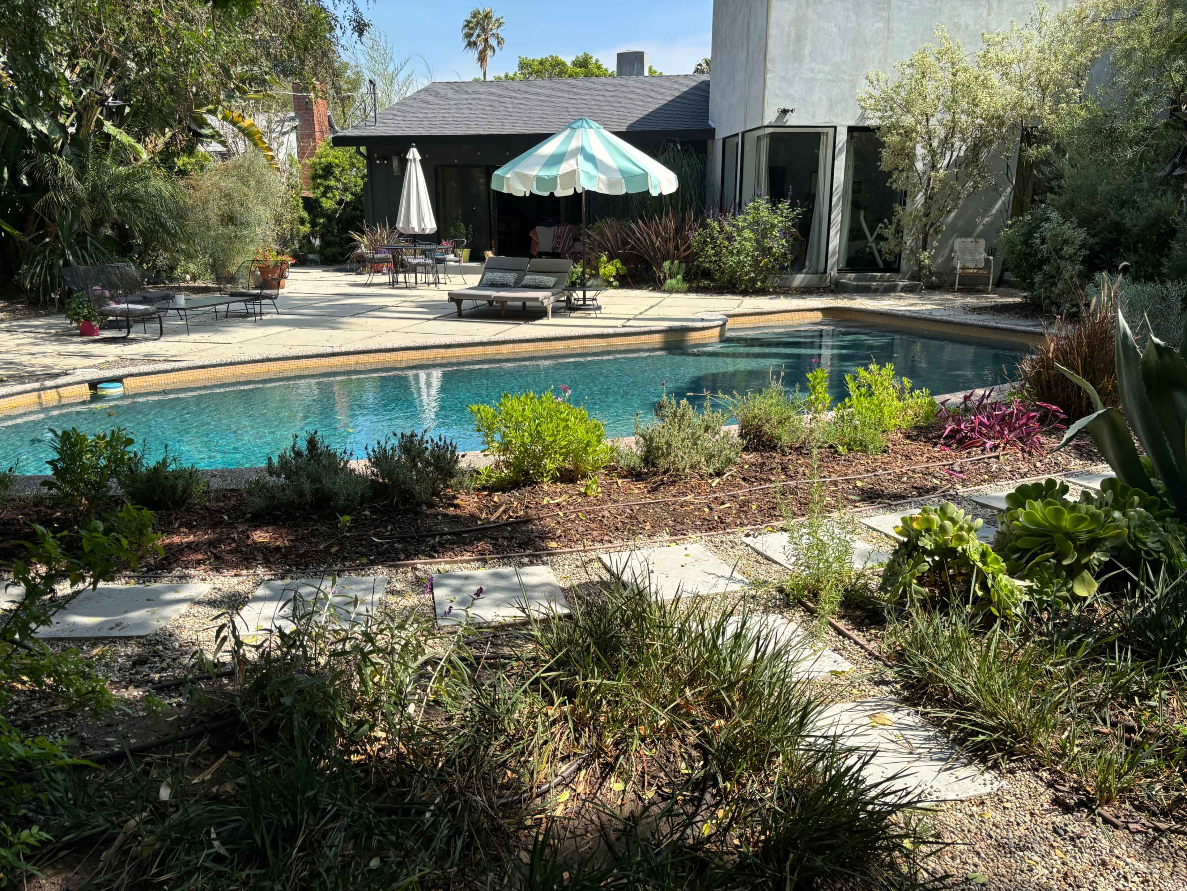 Big, lush Venice backyard with pool Image in Venice, Venice, CA