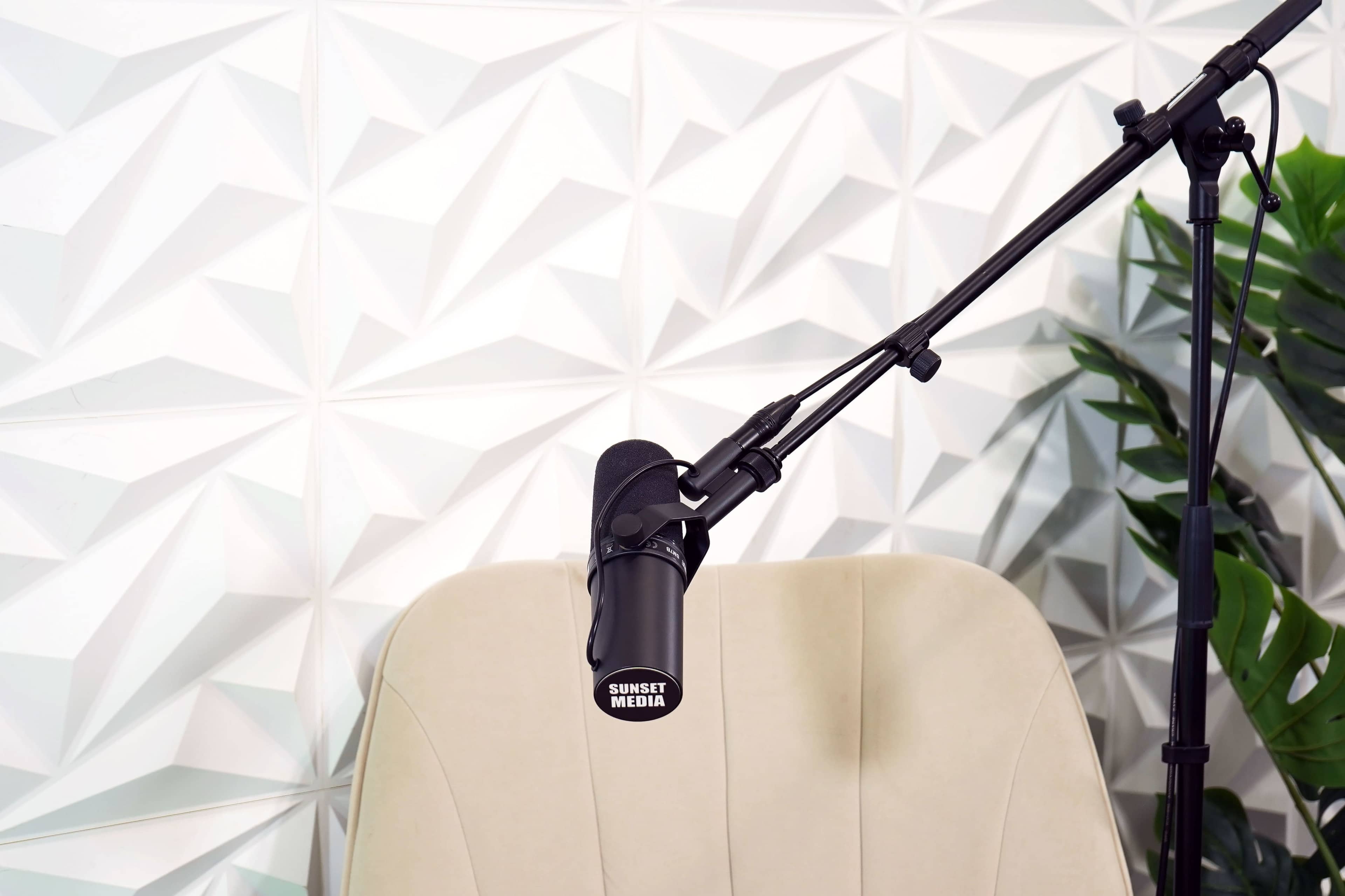 A microphone is mounted on a stand next to a light-colored chair against a textured white wall with a plant nearby.