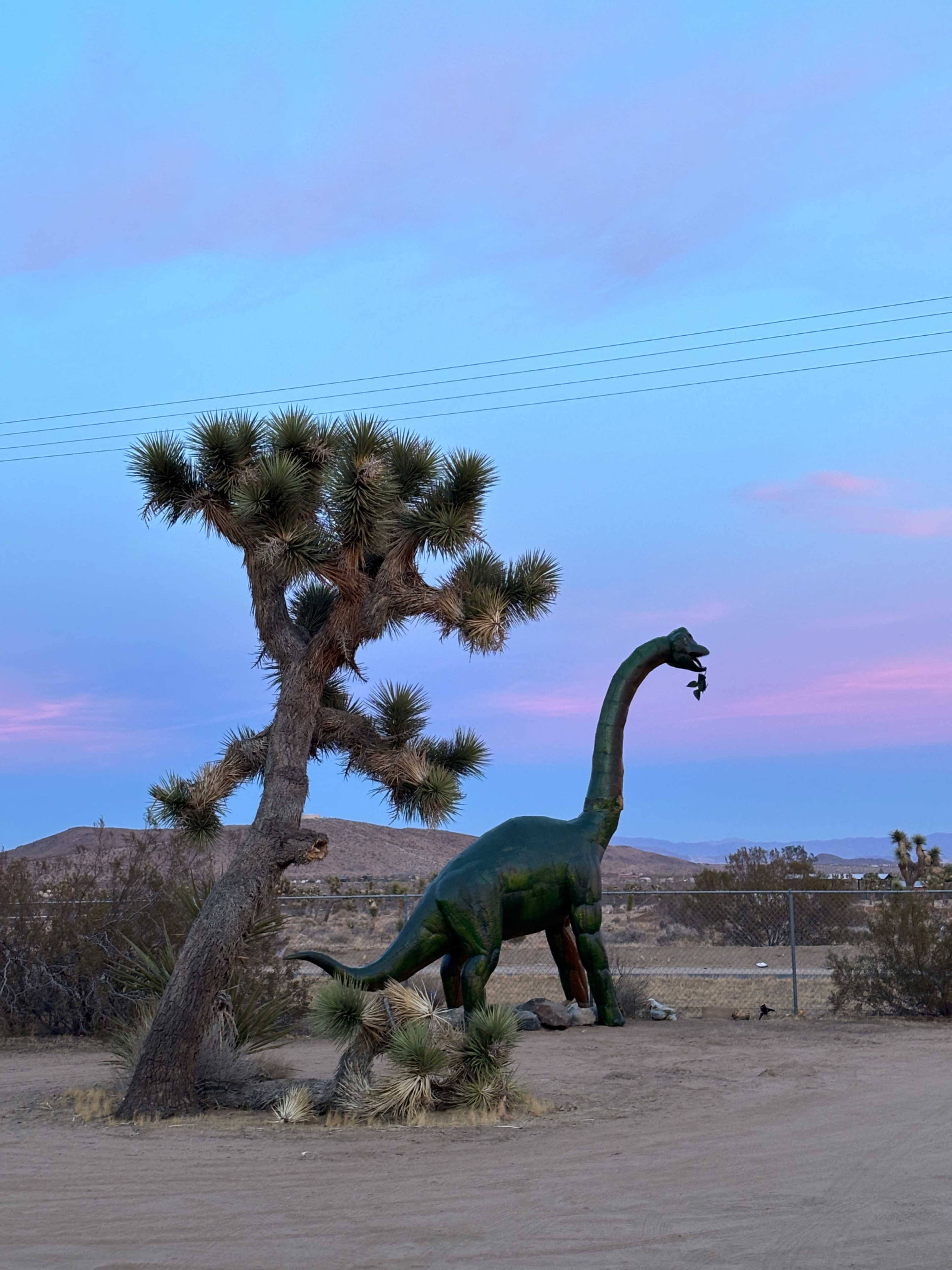 Avalon Ranch | 70s Ranch House + Dinosaur + Helicopter + Desert