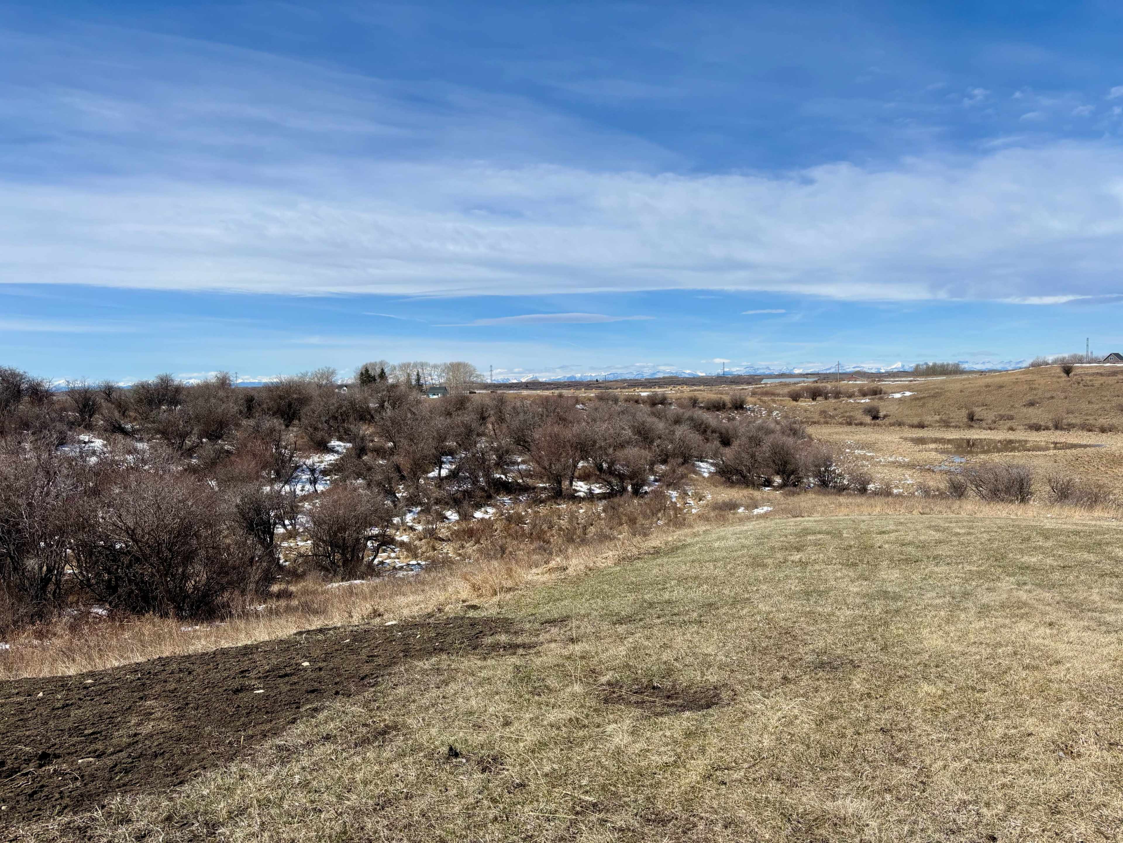 The image shows a panoramic view of a grassy field bordered by a small, bare shrub area and distant mountains under a blue sky with wispy clouds.