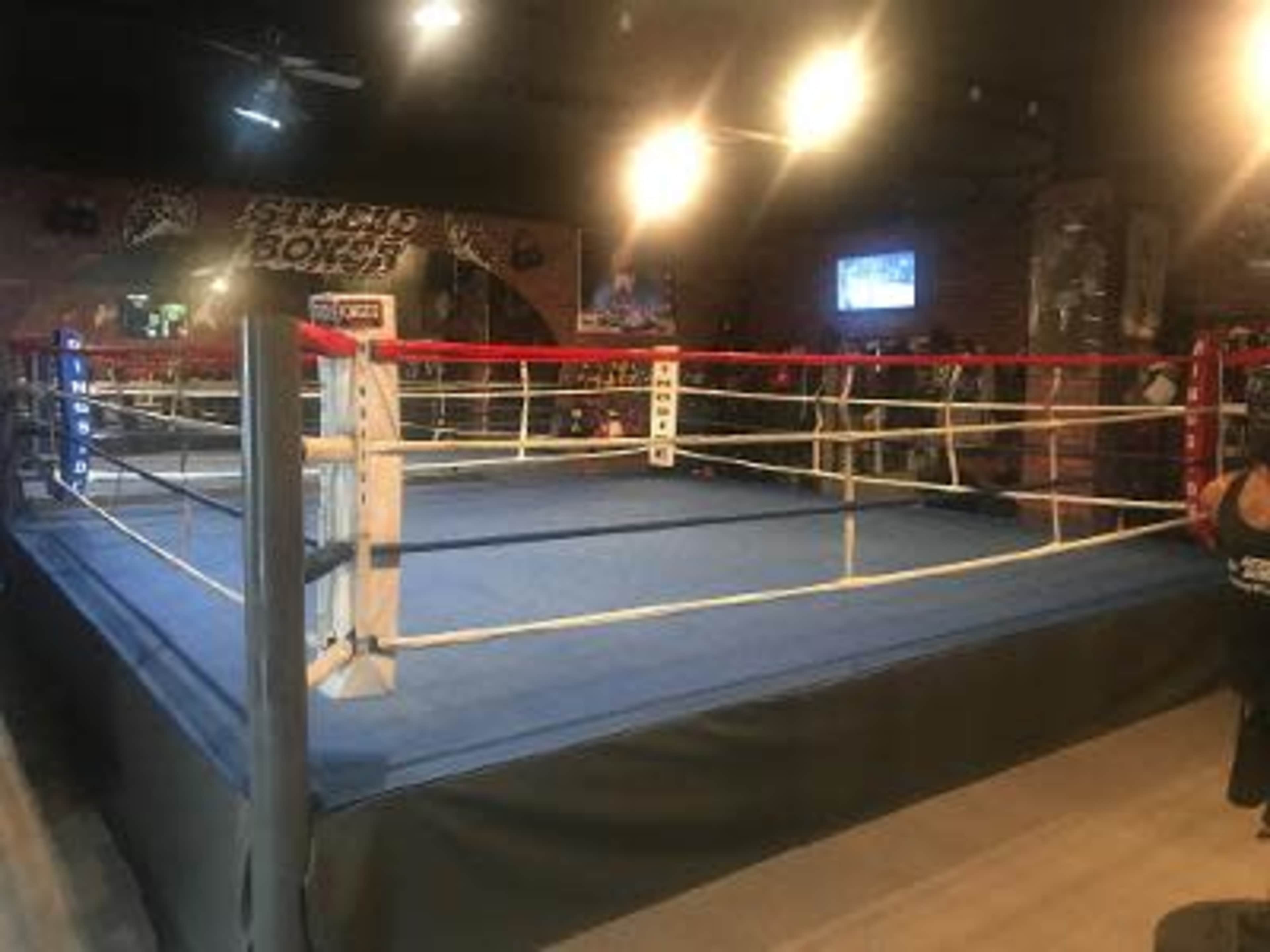 The image shows a boxing ring with blue and red corner pads, surrounded by ropes, in a dimly lit gym setting.