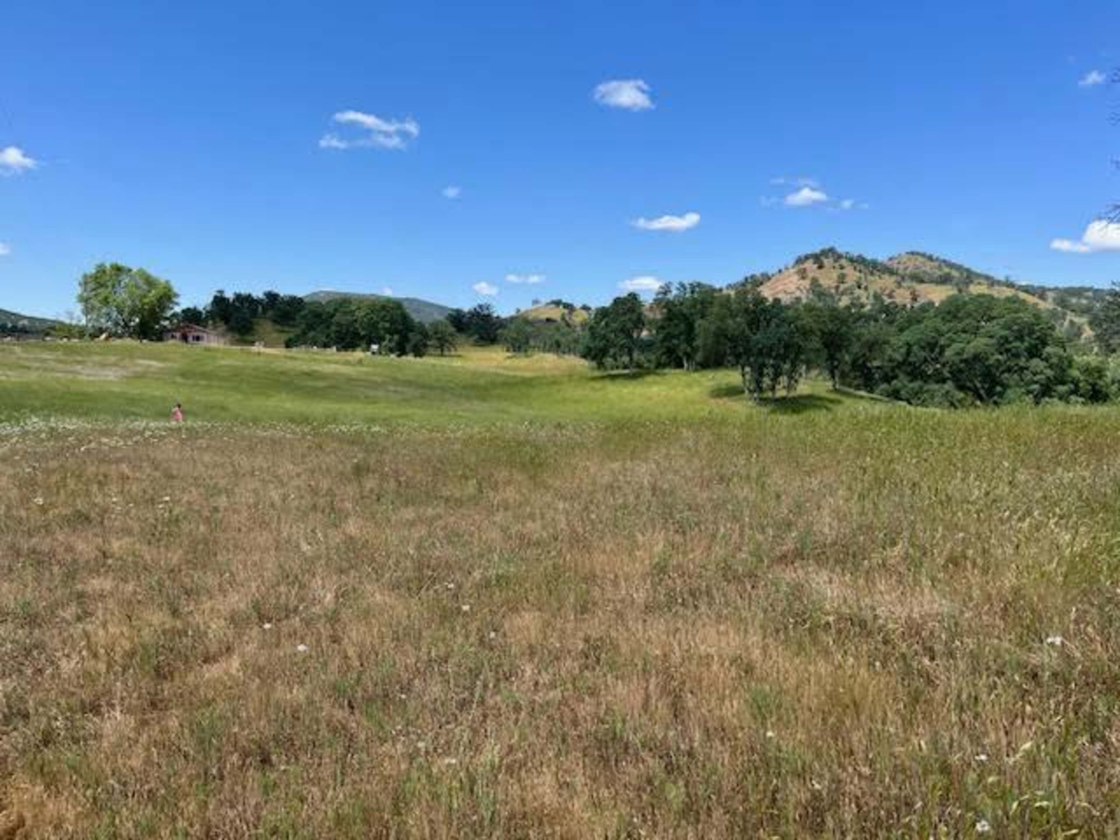 Stunning 87- Acre Ranch Ideal for Photoshoots, Video Shoots and Events. Image in , Tollhouse, CA