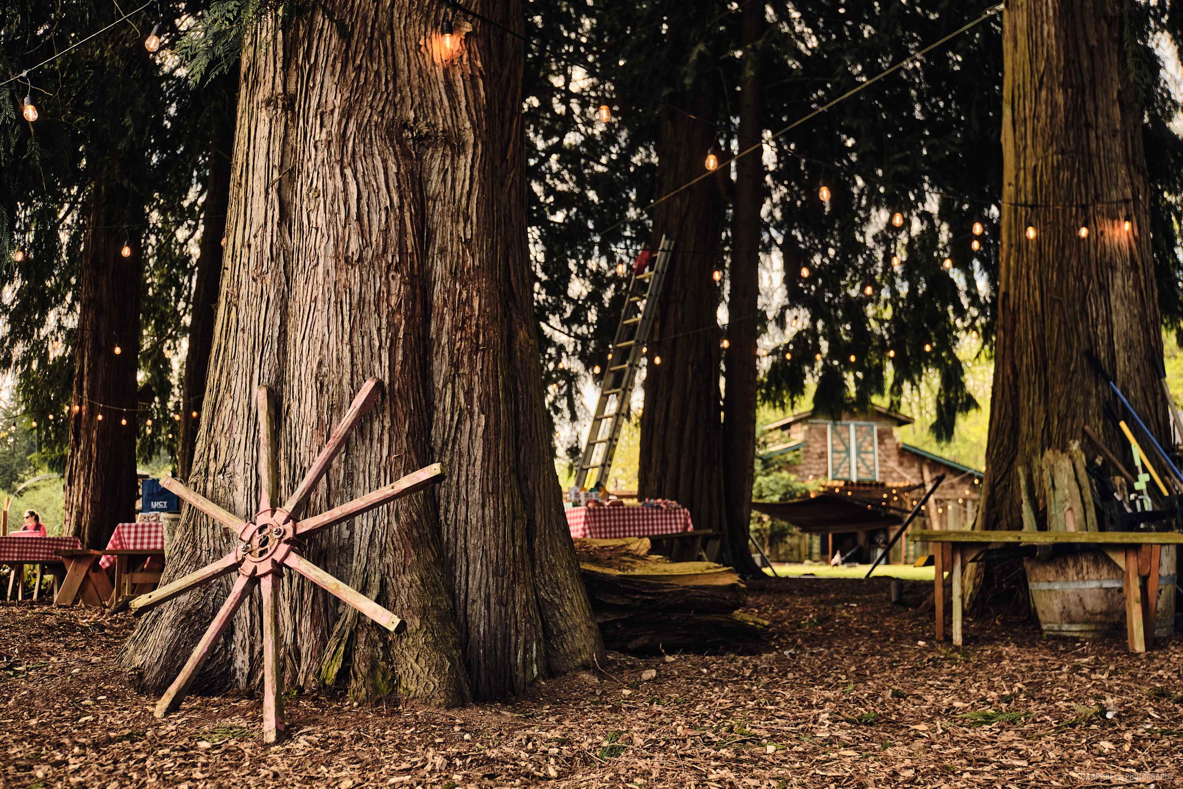A whimsical, storybook hobby farm with views of the valley and mountains Image in Stimson Crossing, Marysville, WA