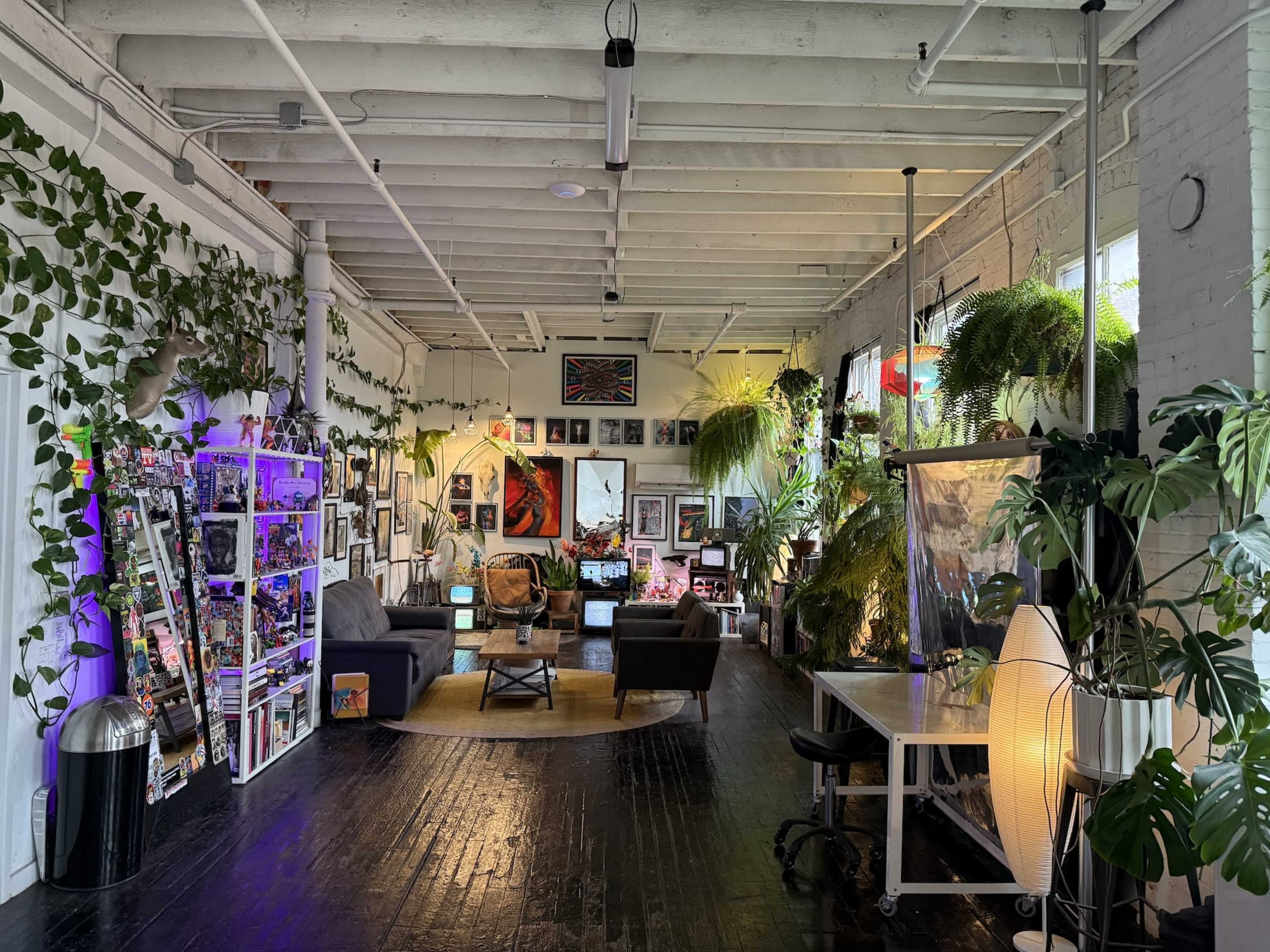 Urban, Plant-Filled Photo Studio in Converted Loft, Just South of Downtown Image in South Columbus, Columbus, OH