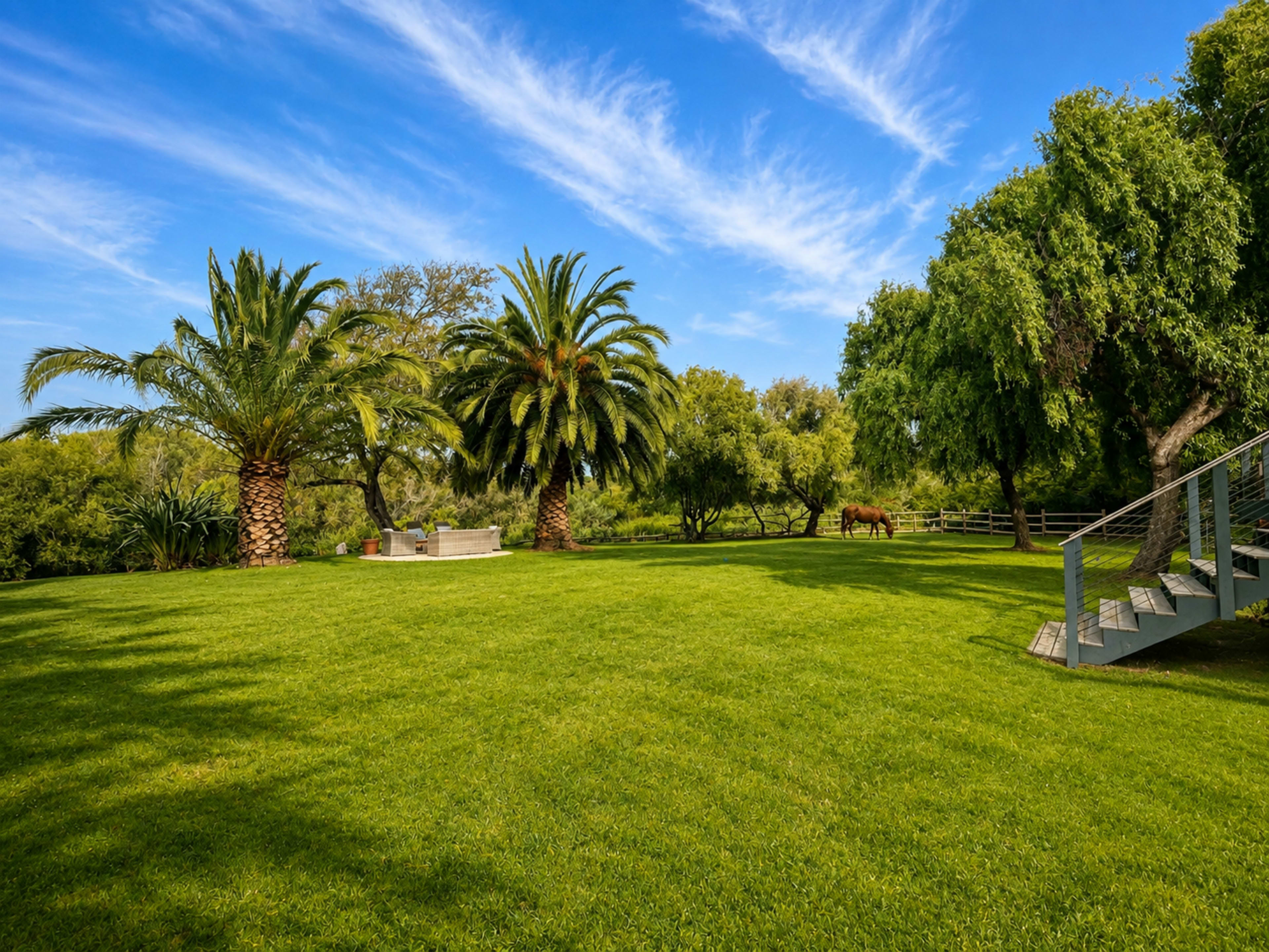 The image shows a lush green lawn with palm trees and a staircase leading up to a patio area, set against a blue sky with wispy clouds.