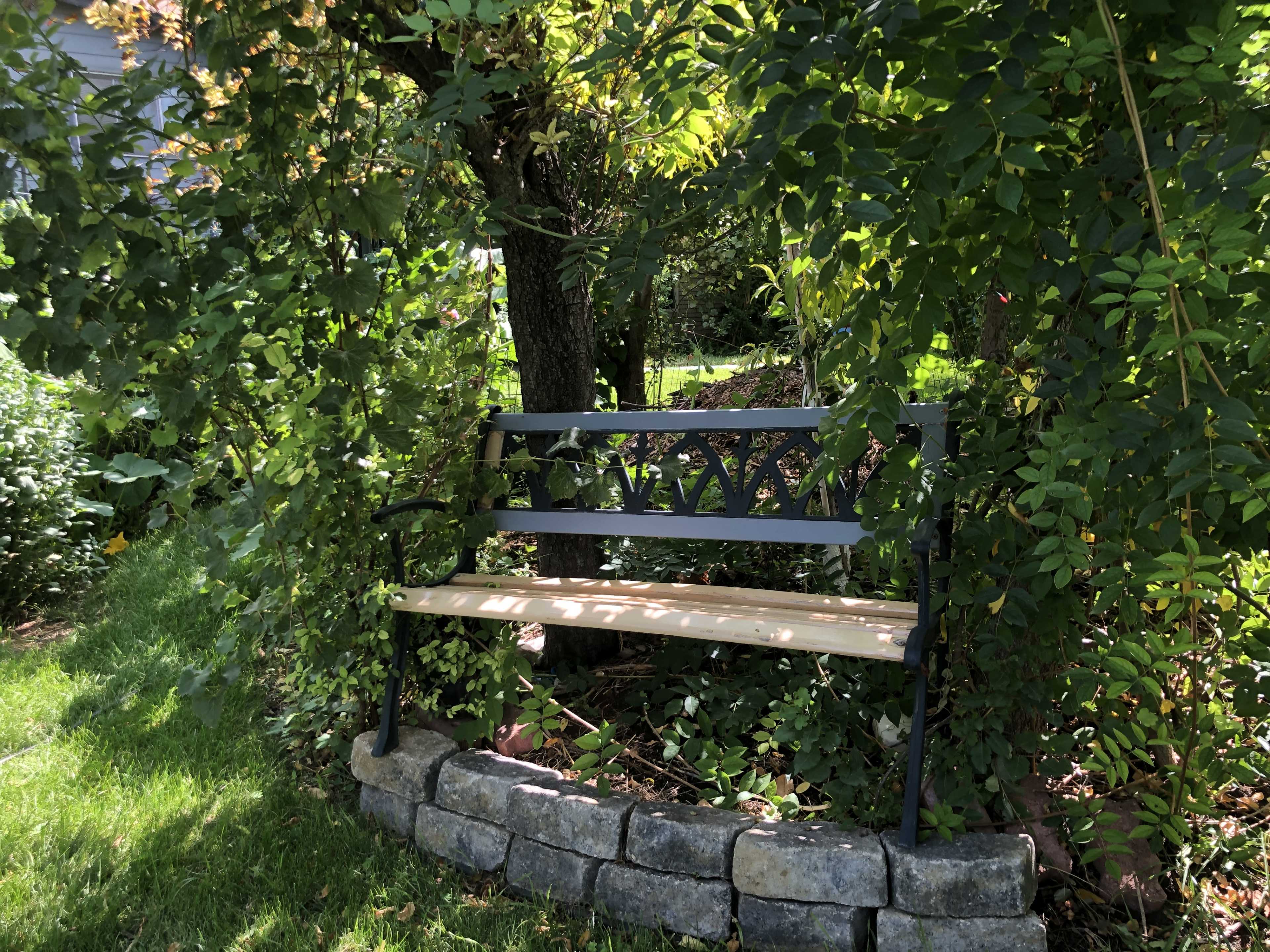 Provo Jungle Image in Provost, Provo, UT