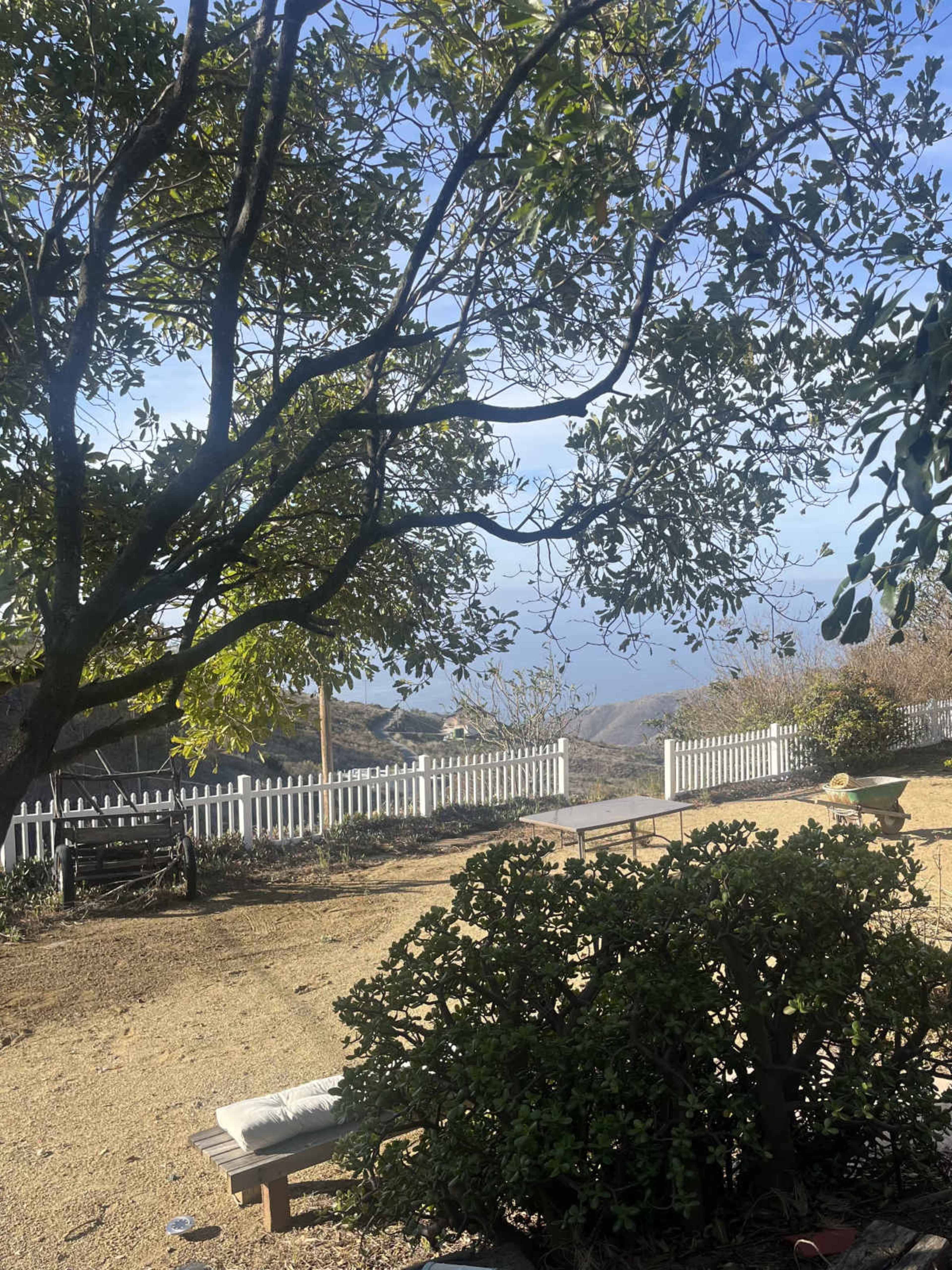 The image shows a landscape with a tree and a fence, overlooking a distant view of mountains and sky.