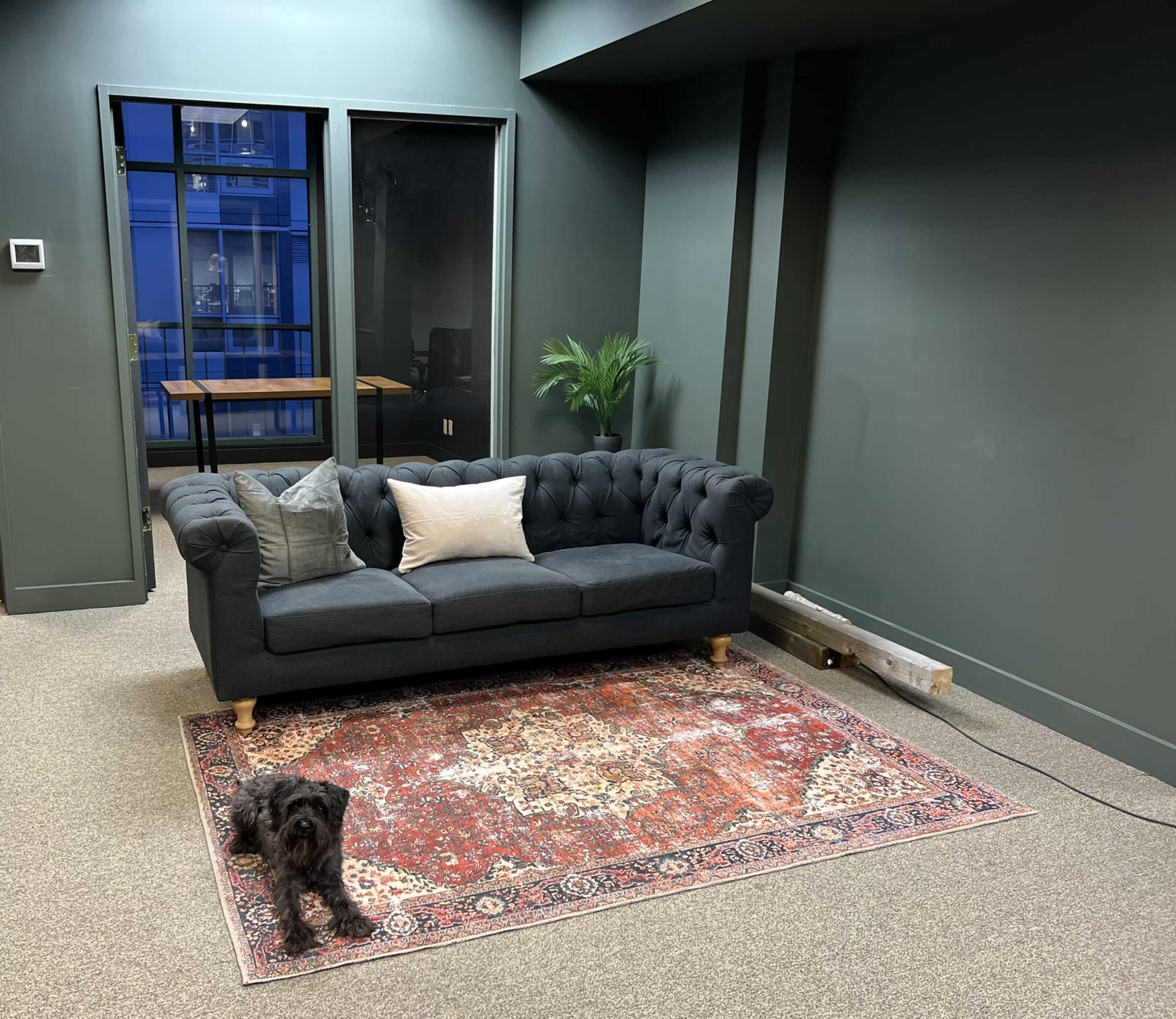 A dark green room features a tufted gray sofa on a patterned area rug, with a small dog standing nearby and large windows revealing an exterior view.