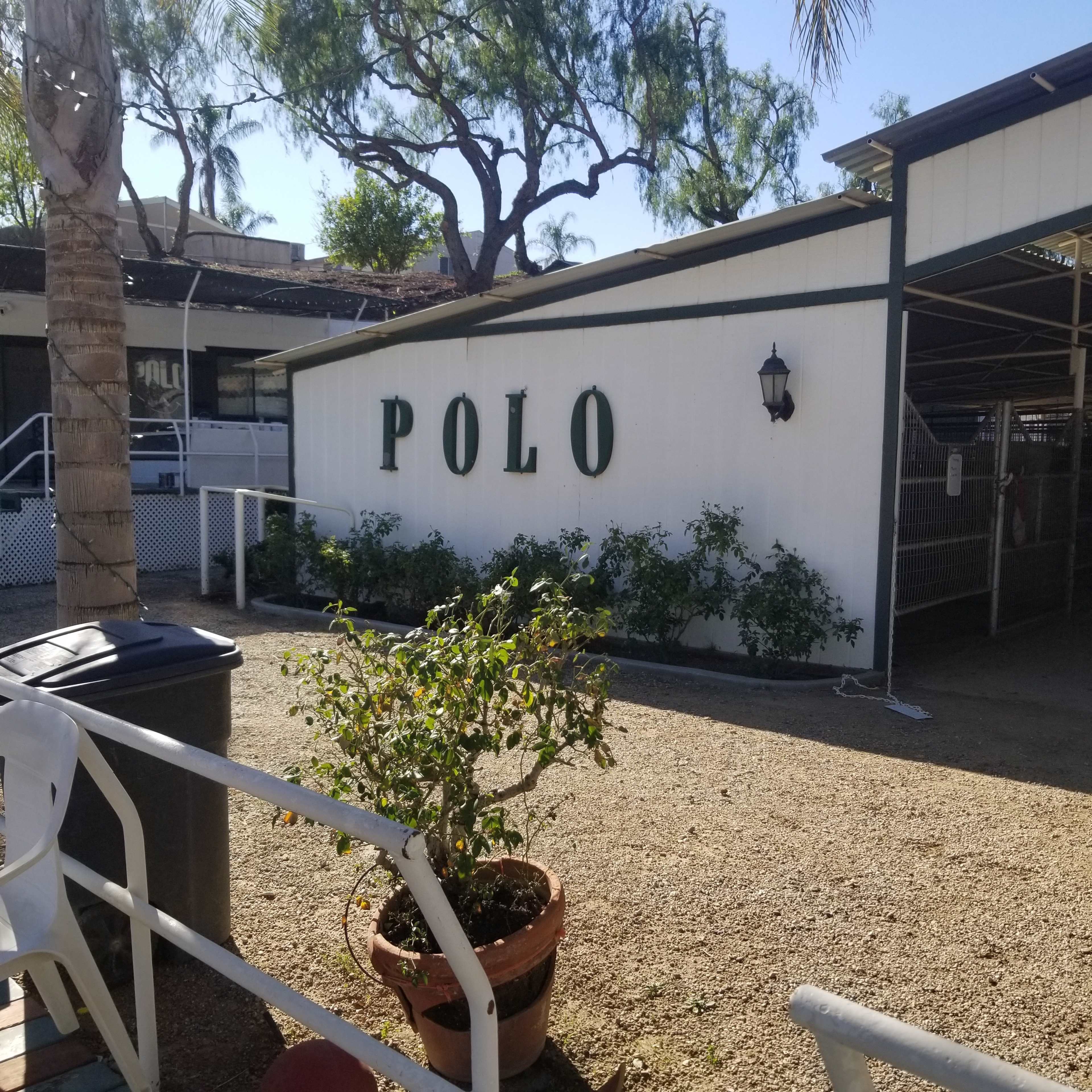 The image shows a white building with the word "POLO" in large green letters on its side, surrounded by palm trees and a gravel area with a potted plant.