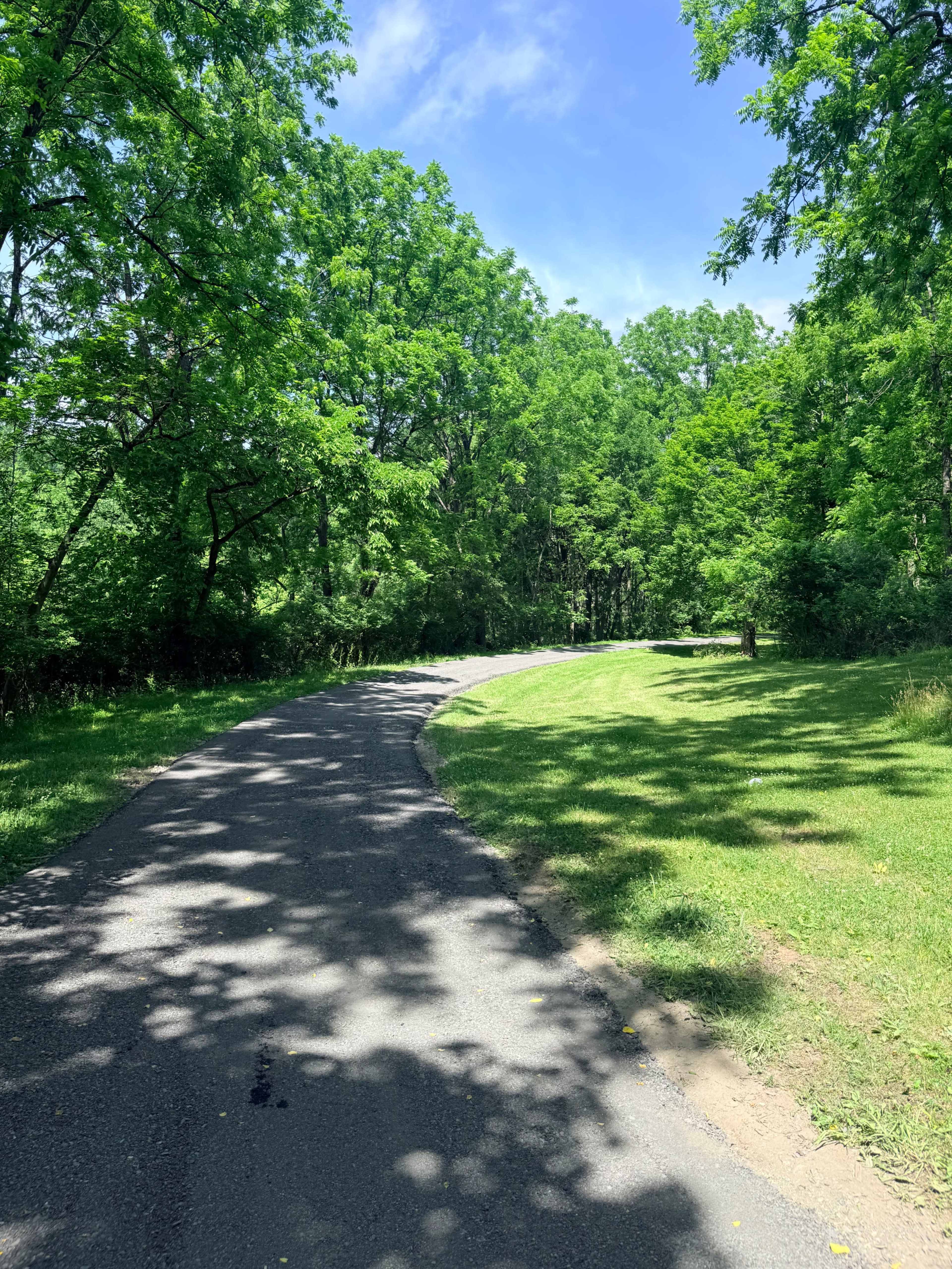 A winding paved path through a lush, green landscape under a clear blue sky.