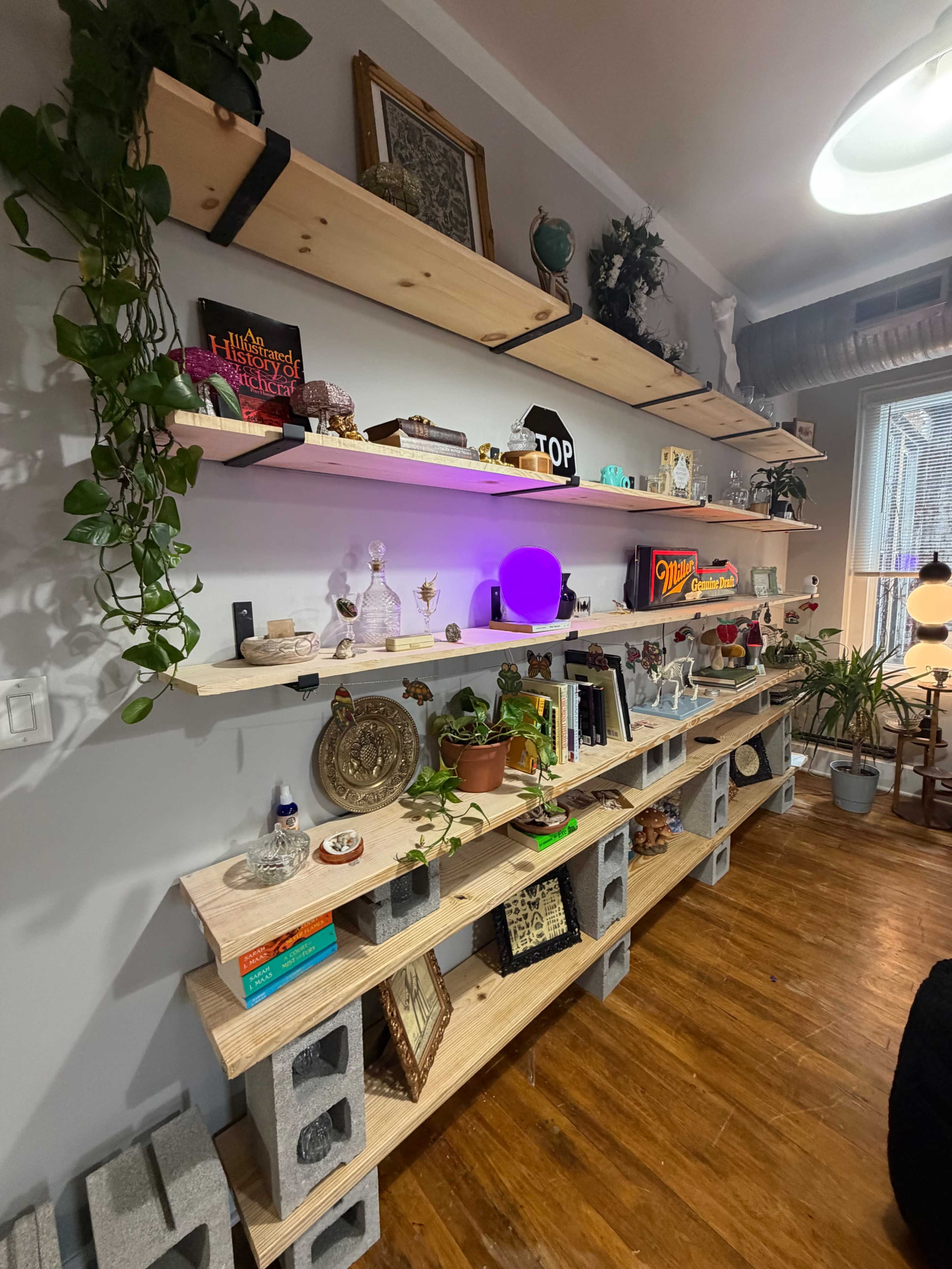 The image features a wooden shelving unit with various decorative items, plants, and collectibles arranged on multiple tiers against a wall.