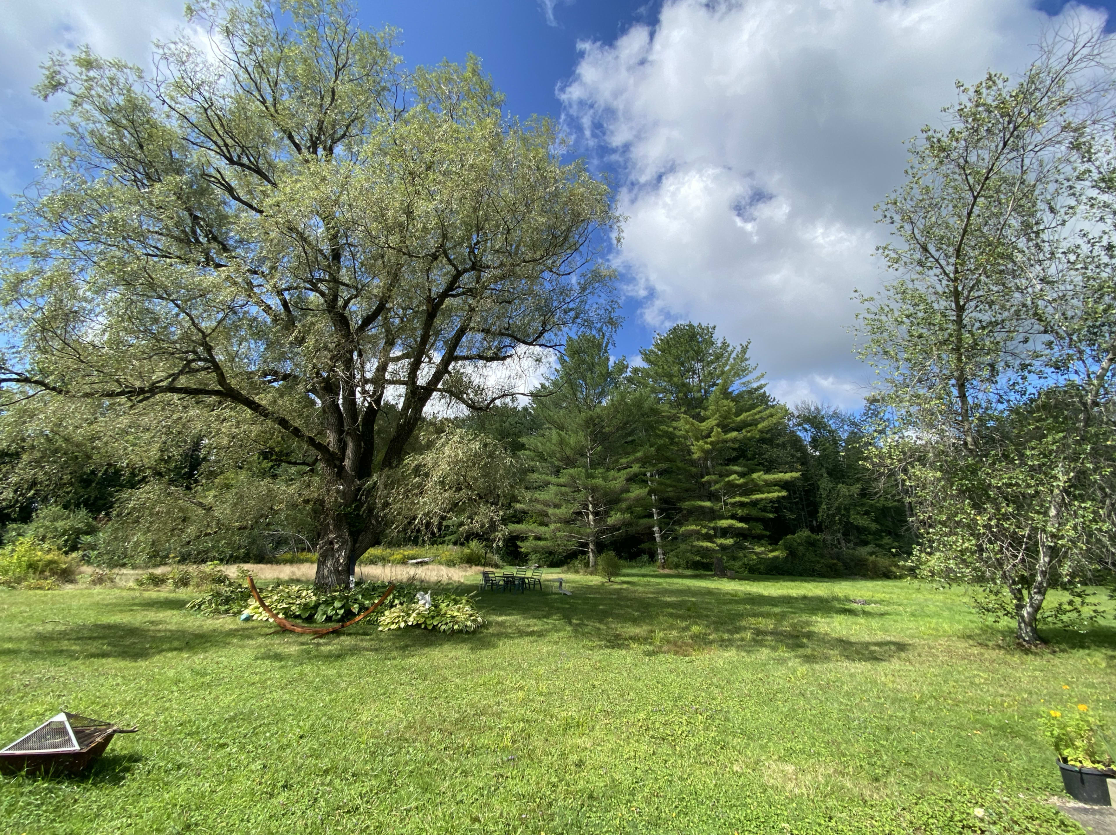 A large tree dominates a grassy area, surrounded by smaller trees and a hammock in the background under a partly cloudy sky.
