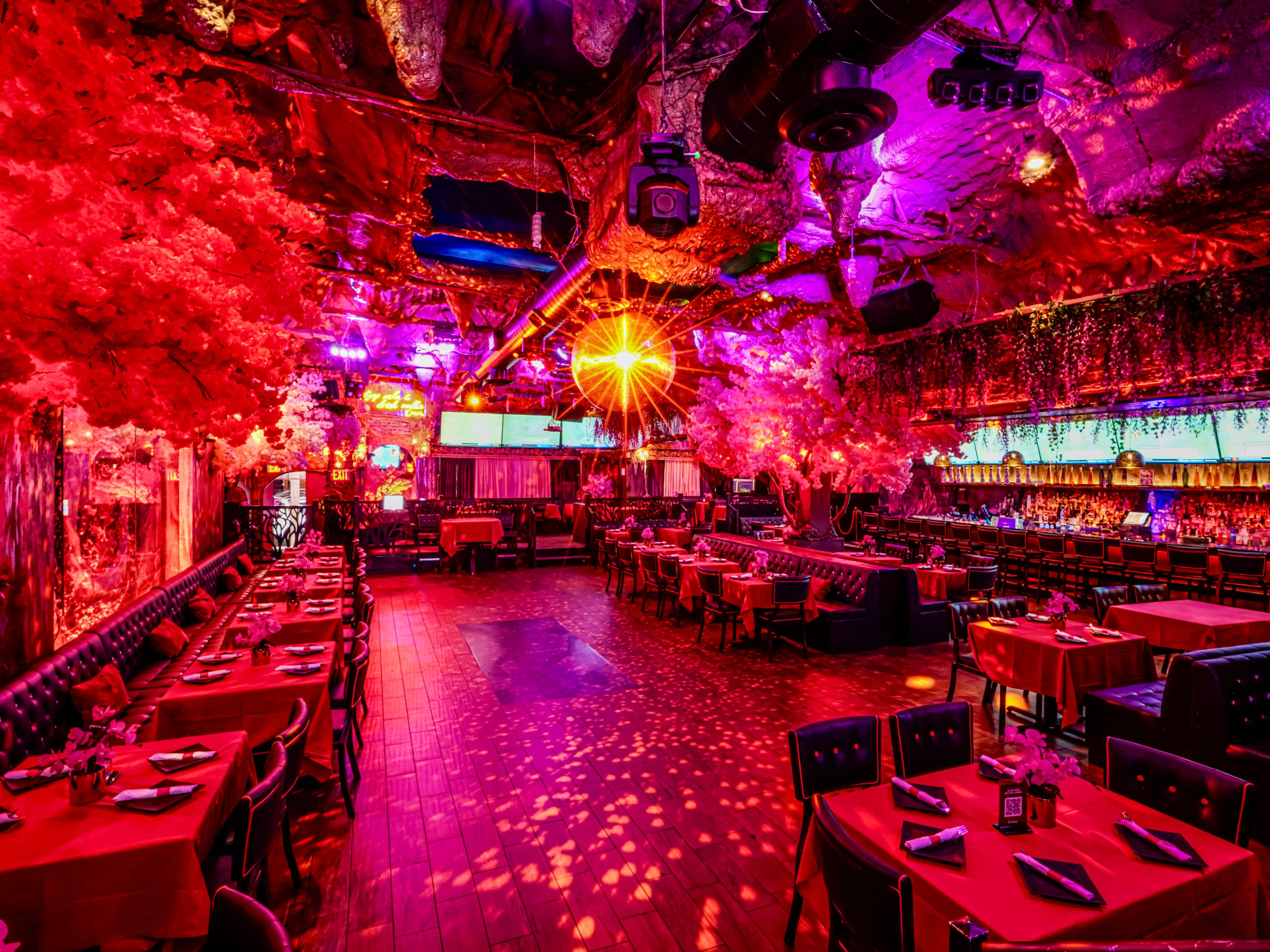 The image shows a vibrant restaurant interior with red and purple lighting, decorated with artificial trees and a disco ball, featuring tables set for diners.