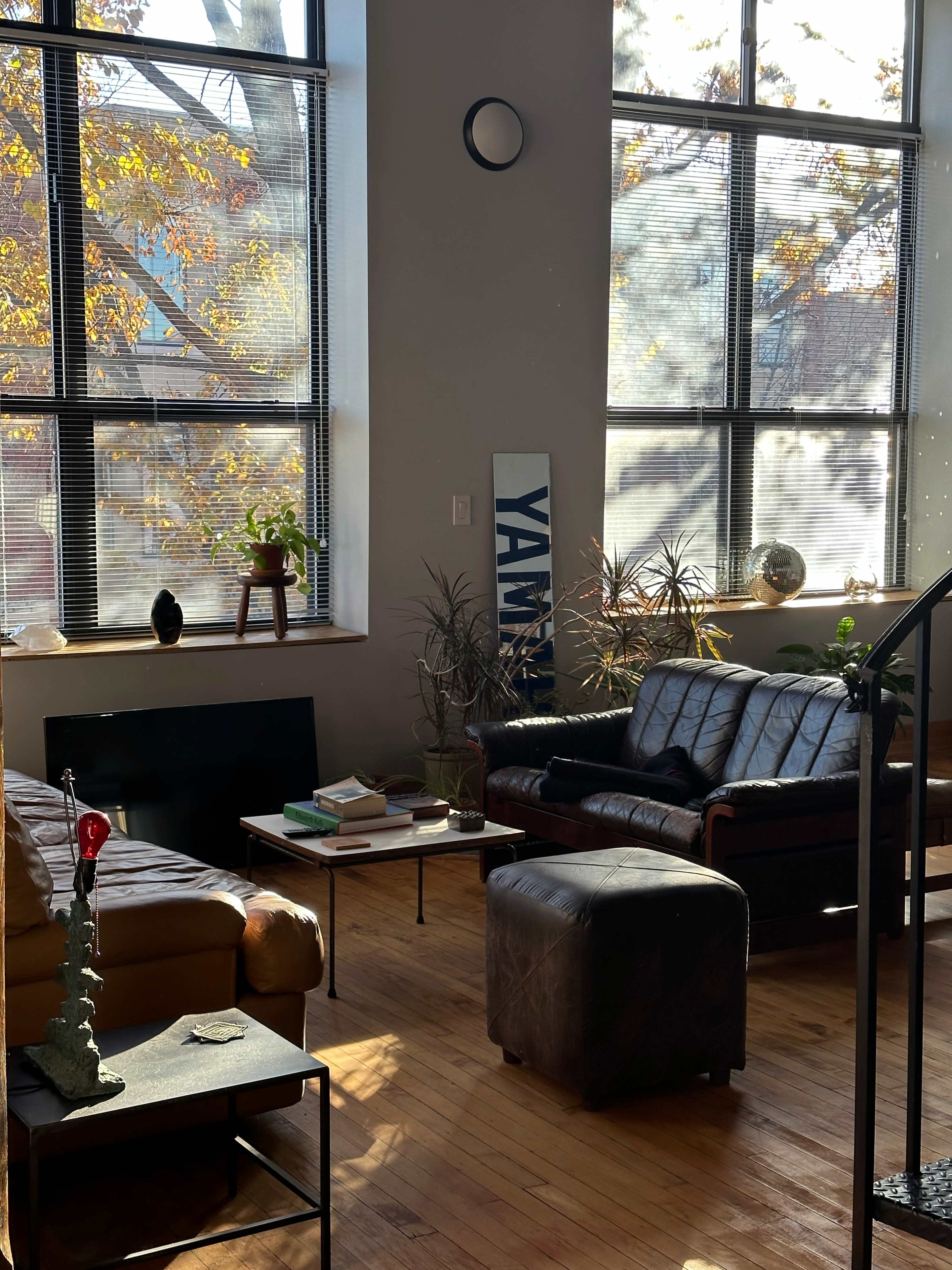 The image shows a well-lit living room with two sofas, a coffee table, and large windows showcasing autumn trees outside.