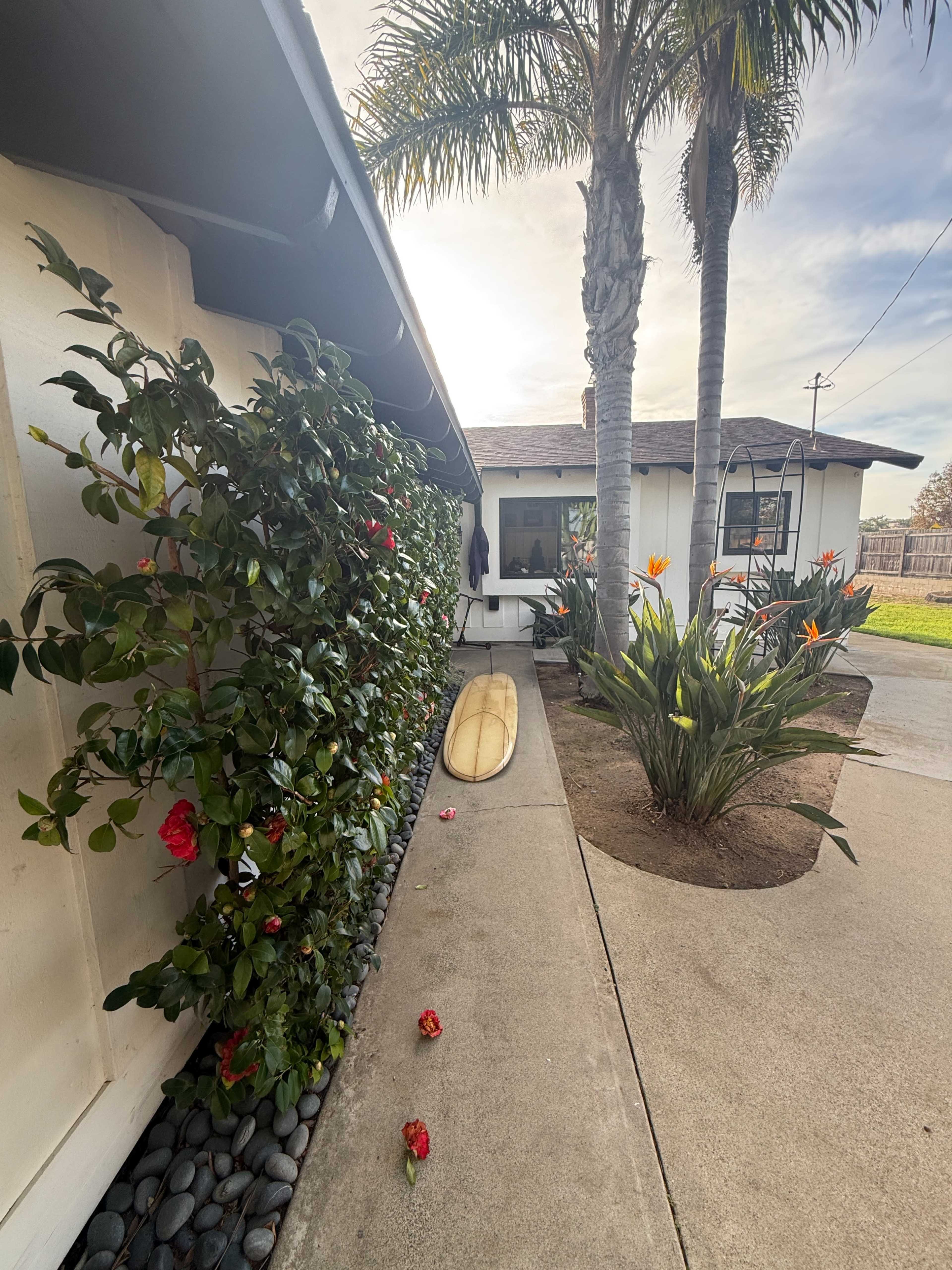 The image shows a pathway lined with lush foliage, a surfboard on the ground, and various plants, leading up to a house with a patio.