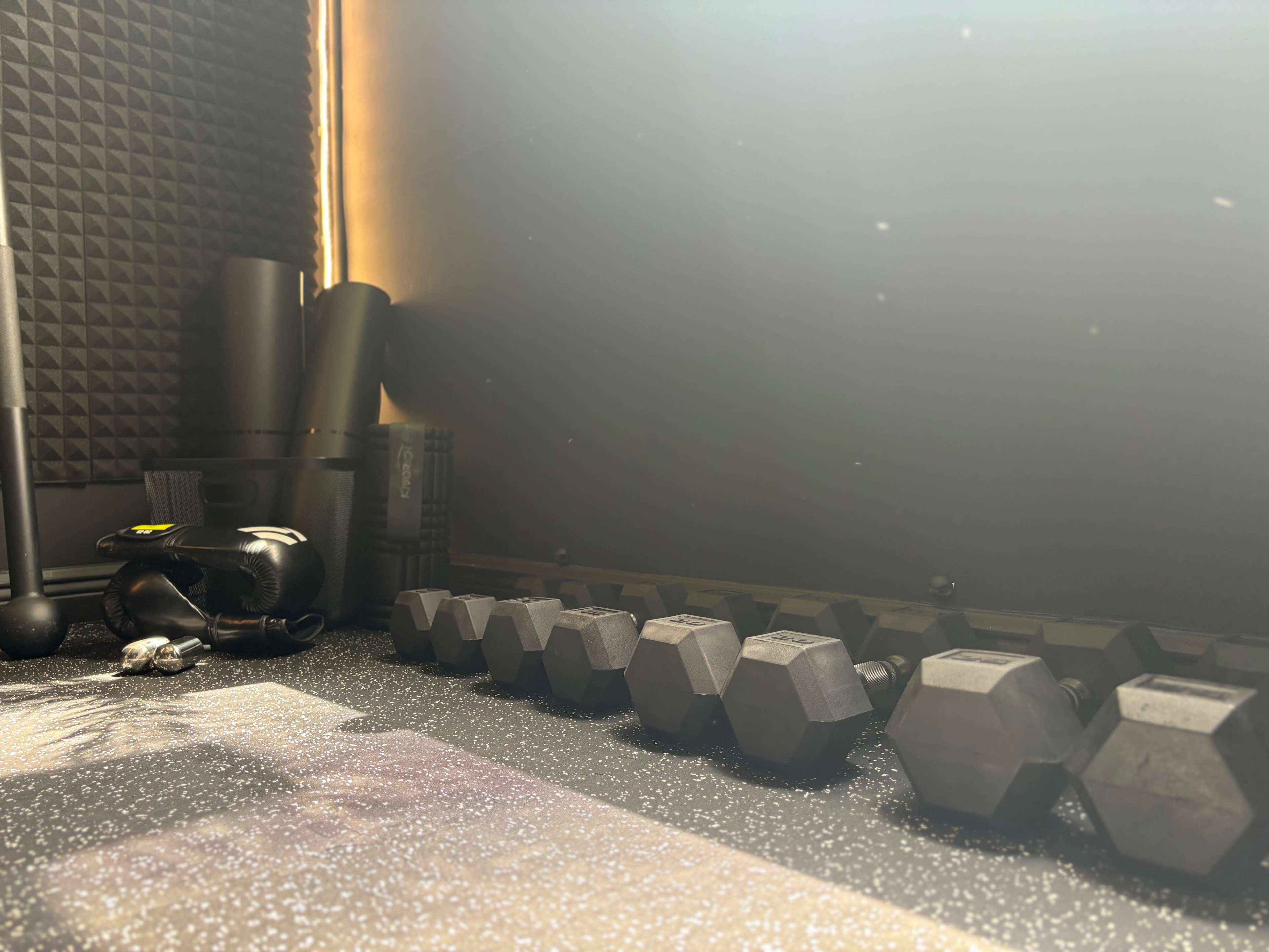 A row of black hexagonal dumbbells resting on a textured surface, with gym equipment and a soft light in the background.