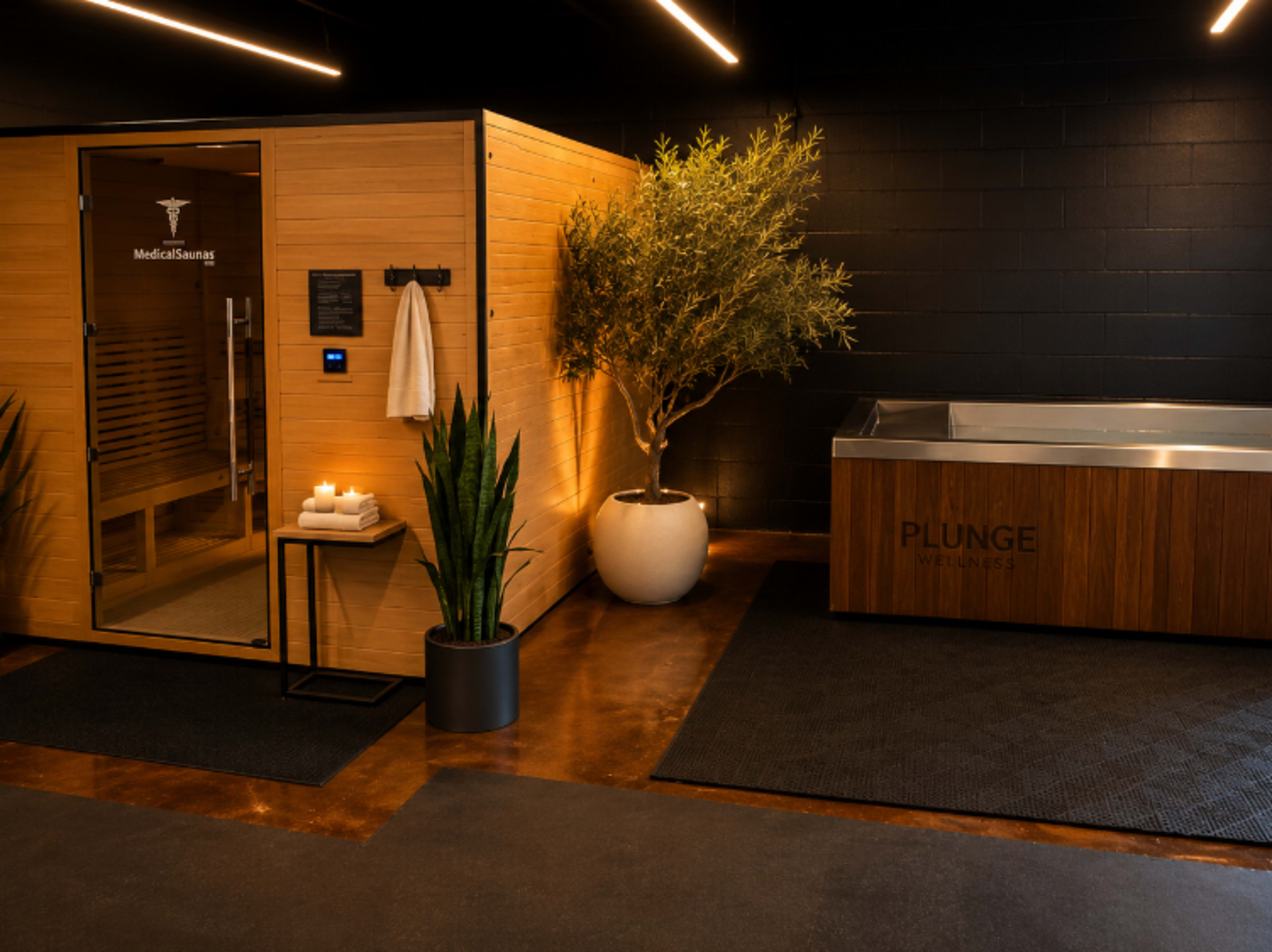 Sauna + Cold Plunge Wellness Studio