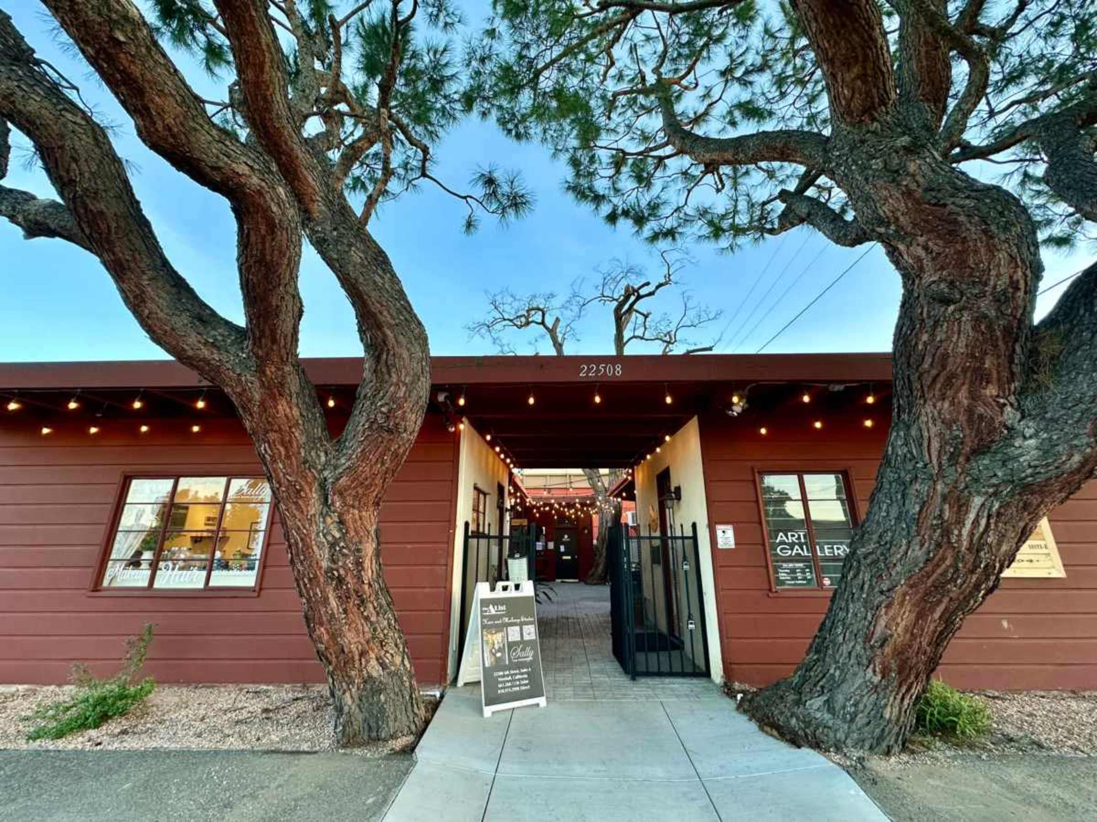 The entrance of an art gallery framed by large trees and string lights.