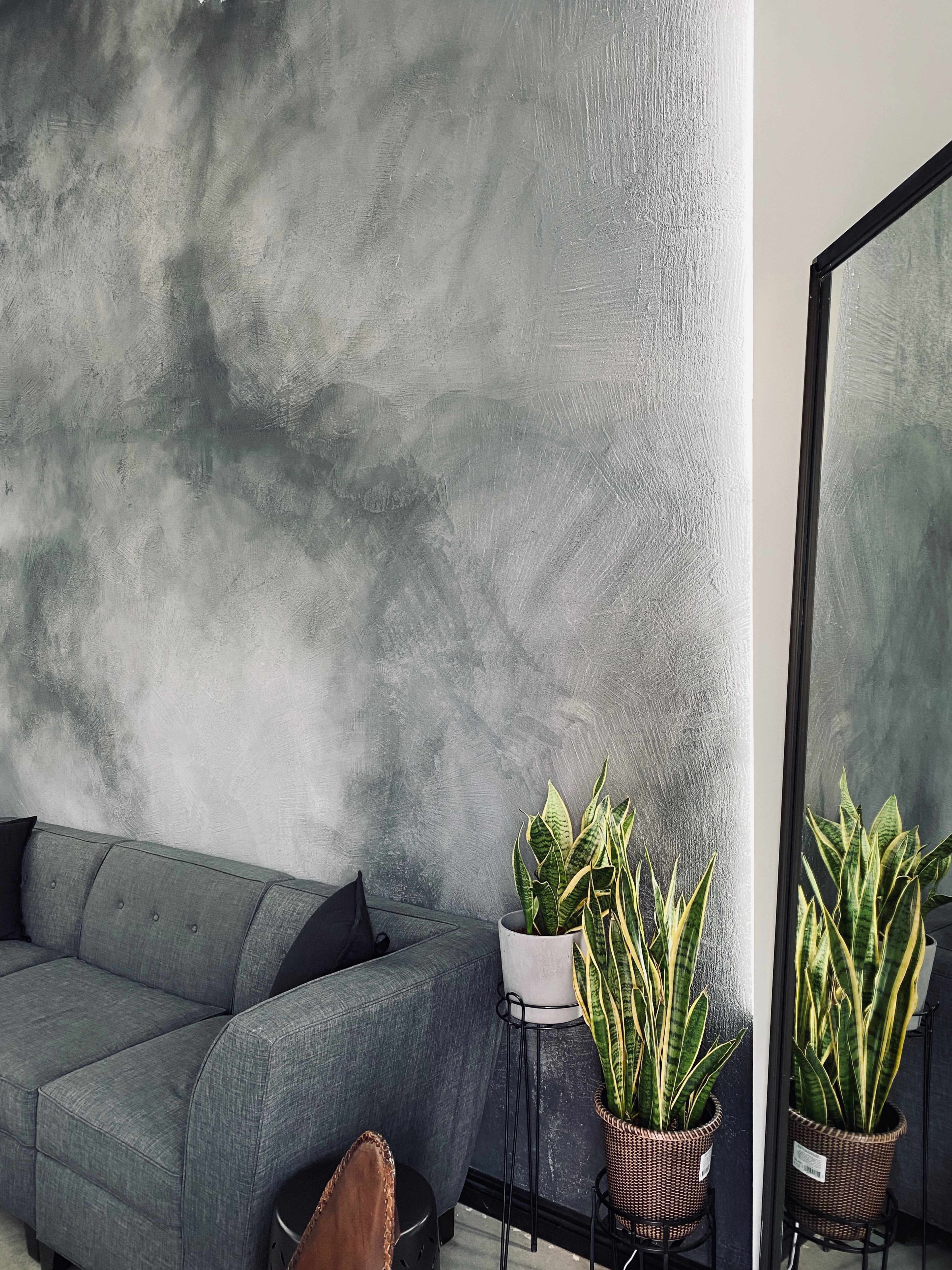 A gray wall with a textured finish serves as a backdrop for a gray sofa and potted snake plants, reflecting a mirror positioned nearby.