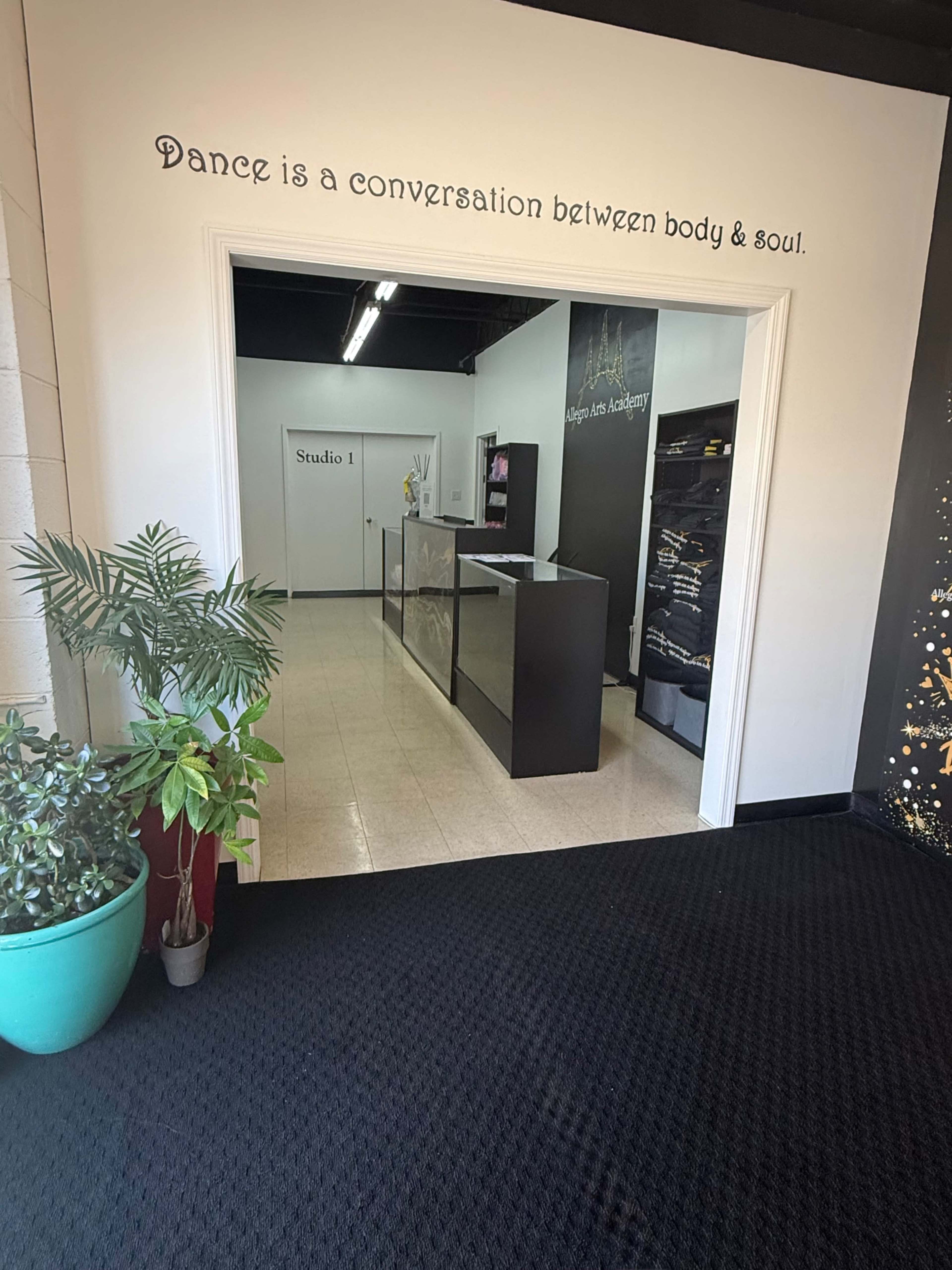The image shows the entrance to a dance studio, with a welcoming reception area visible ahead and a decorative plant on the left.