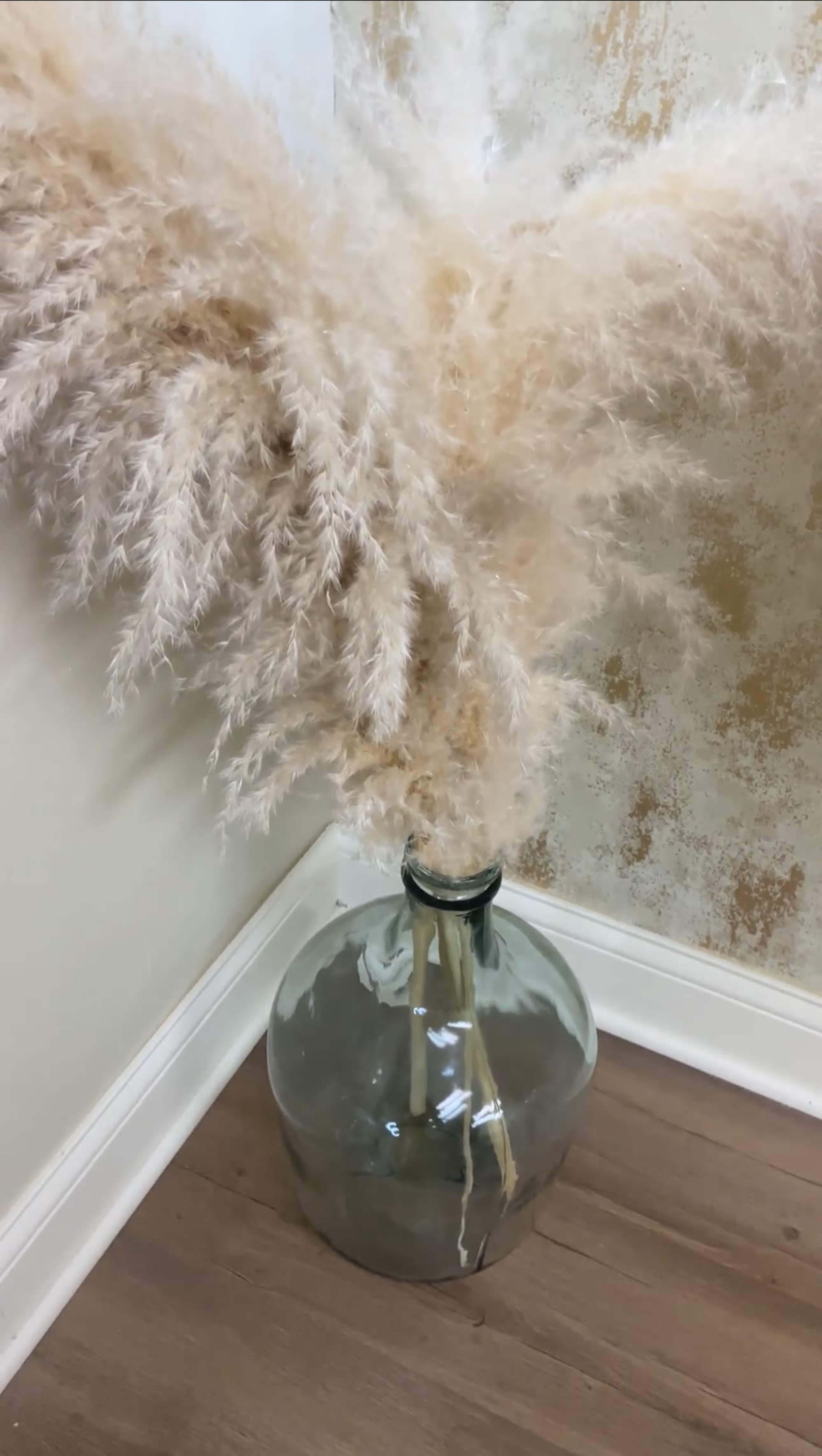 A large glass vase filled with pampas grass is positioned in a corner against a textured wall.