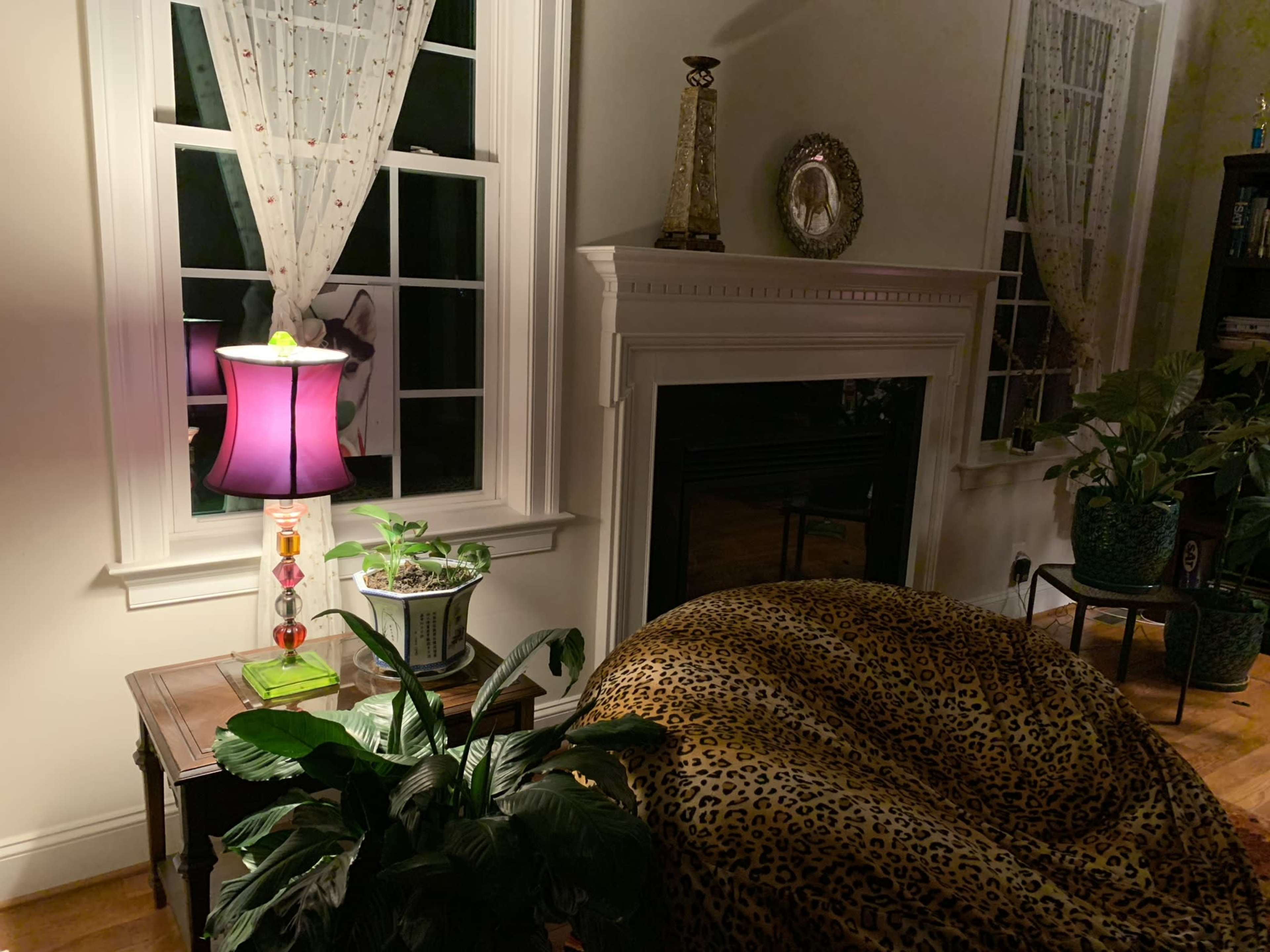 A cozy room features a leopard-print bean bag chair, a small table with a lamp, and several potted plants near a fireplace.