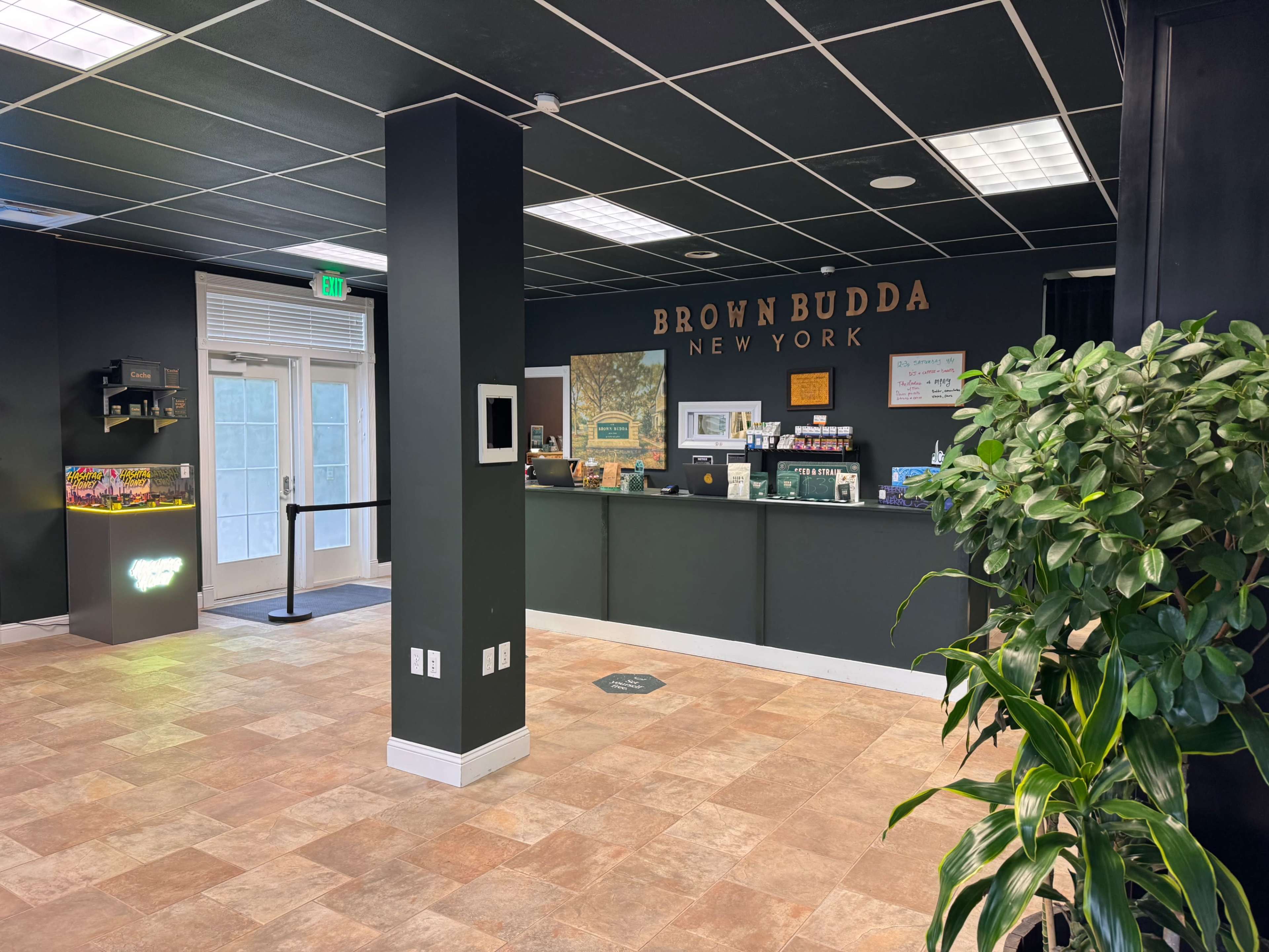 The image shows the interior of a reception area featuring a front desk with signage that reads "BROWN BUDDA NEW YORK," along with potted plants and a tiled floor.