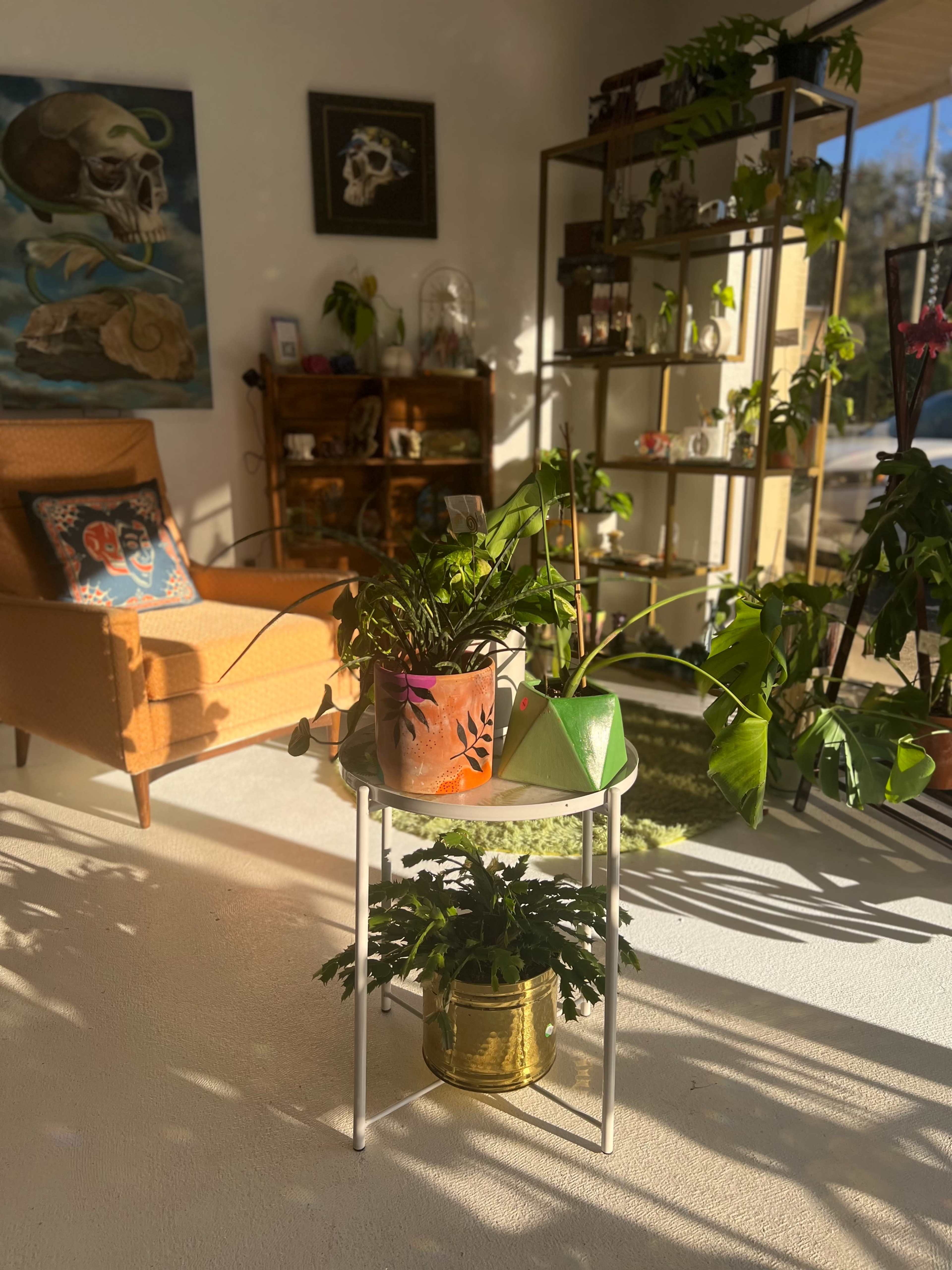 A brightly lit room features a chair, a small table with potted plants, and shelves displaying various items.