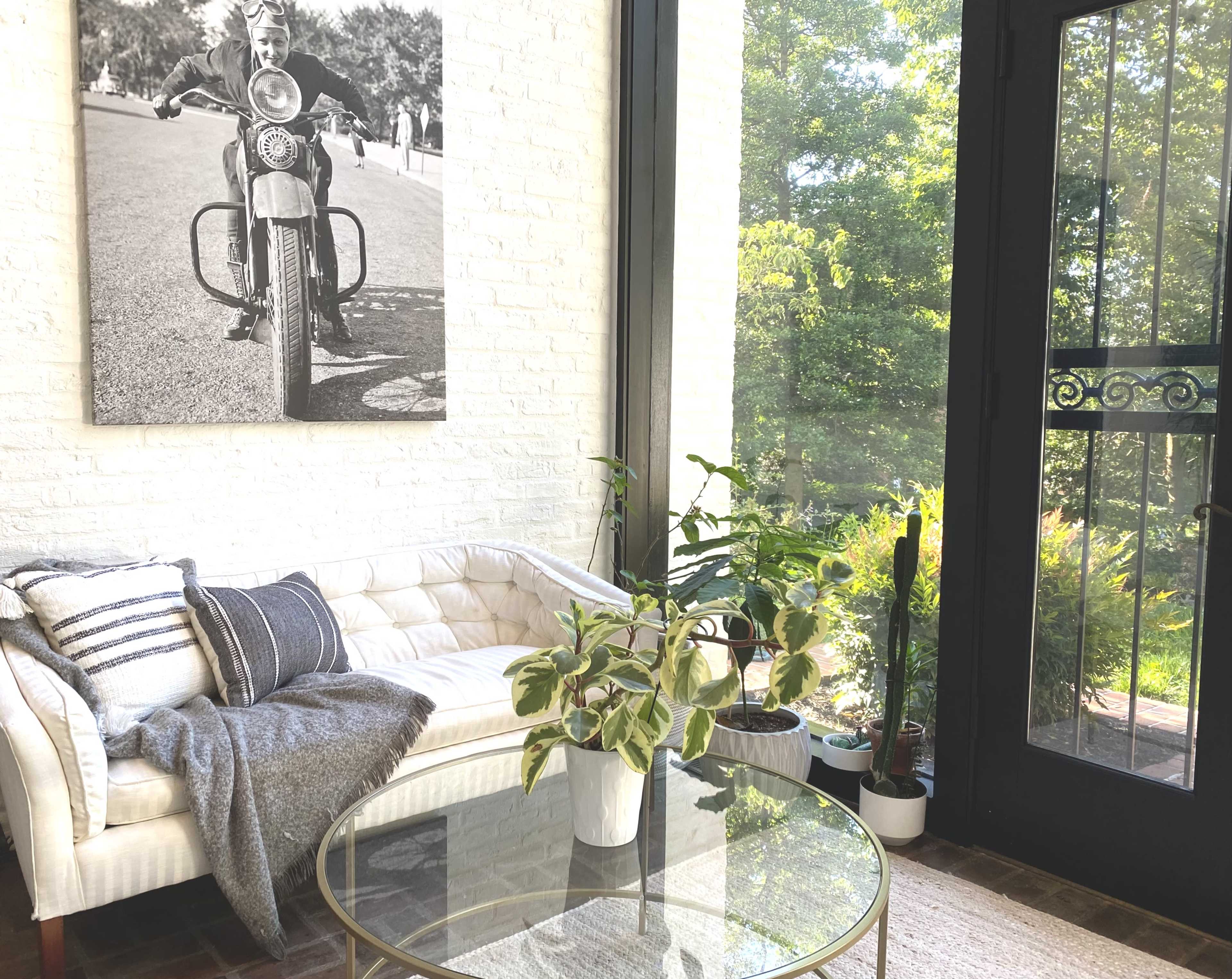 A sunlit room features a white couch with pillows, a coffee table, and plants, adjacent to a large window showcasing greenery outside and a black-and-white photo of a man on a motorcycle mounted on the wall.