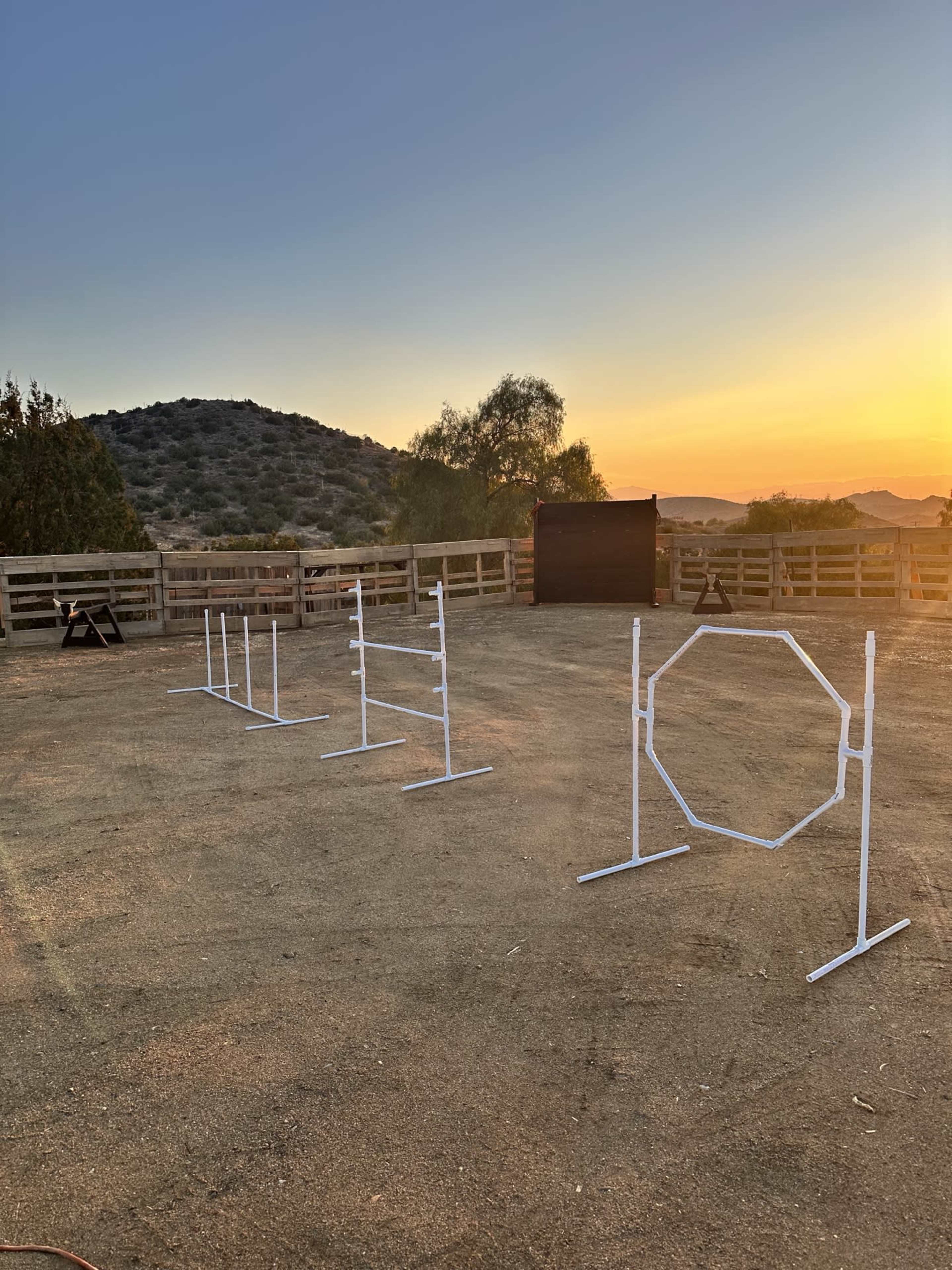 The image shows a set of white agility training obstacles arranged on a dirt surface with a mountainous landscape and sunset in the background.