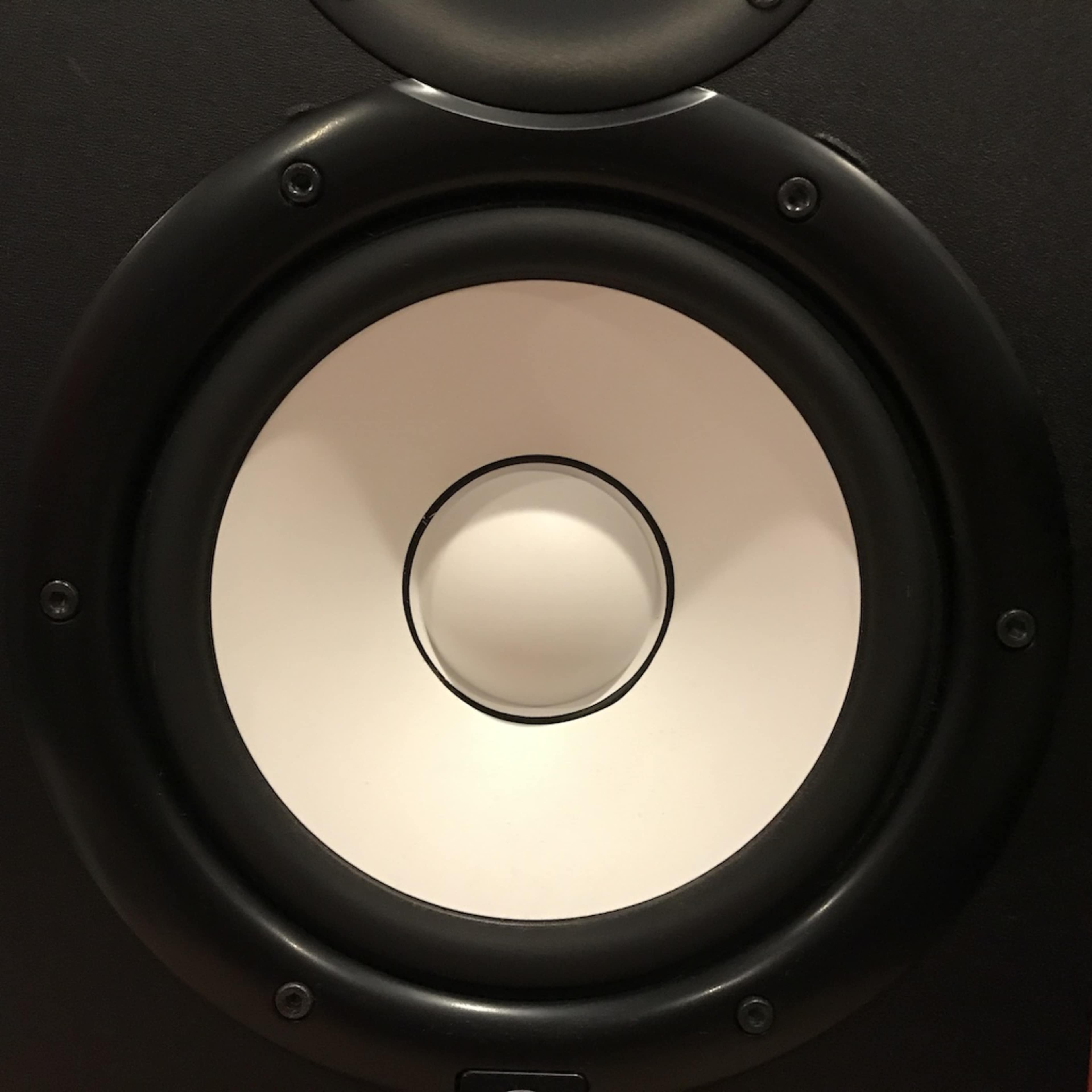 The cone of a black speaker with a white circular diaphragm in the center.