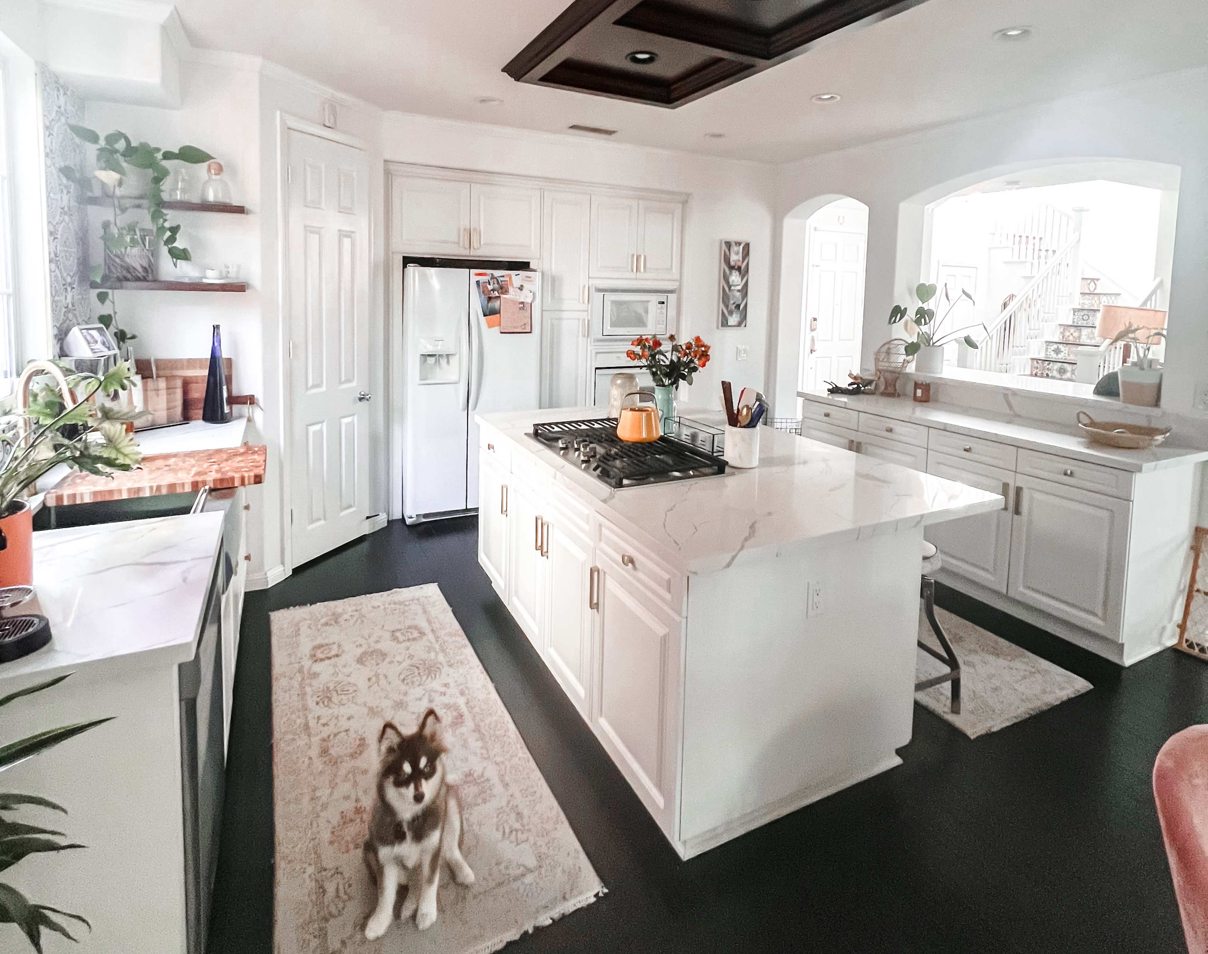 The image shows a modern kitchen with white cabinets, a central island, and a small dog sitting on a rug.