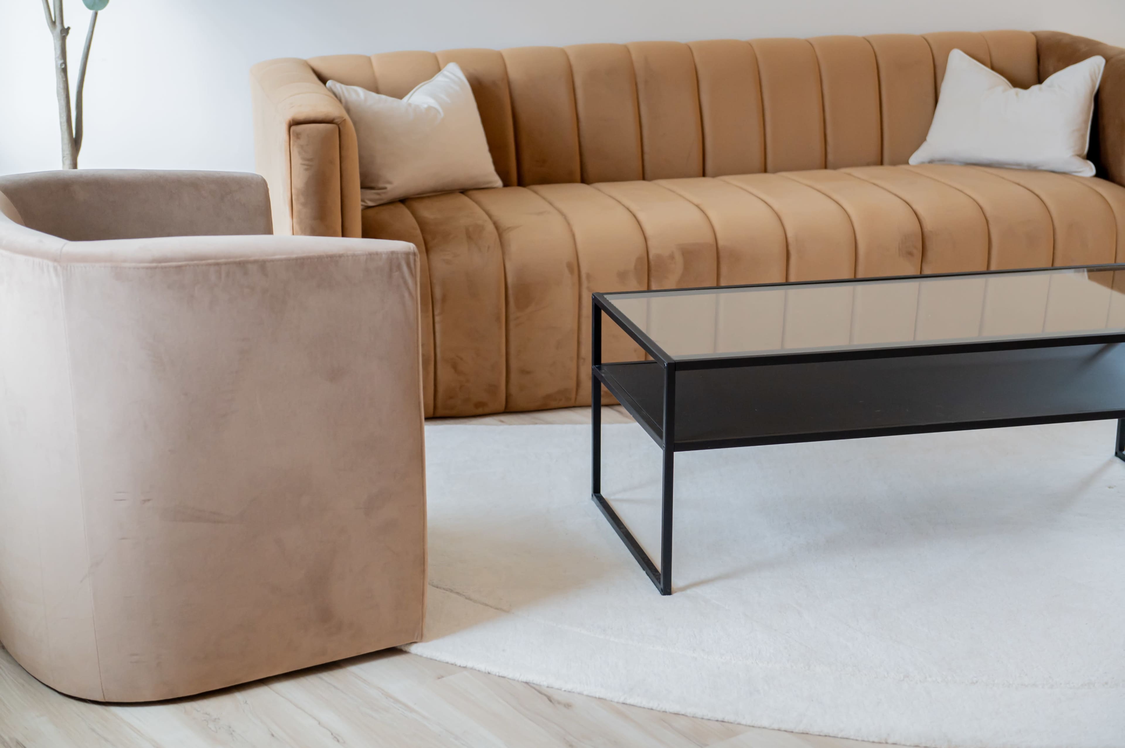 A modern living room with a tan velvet sofa, a beige armchair, and a black metal and glass coffee table on a white rug.