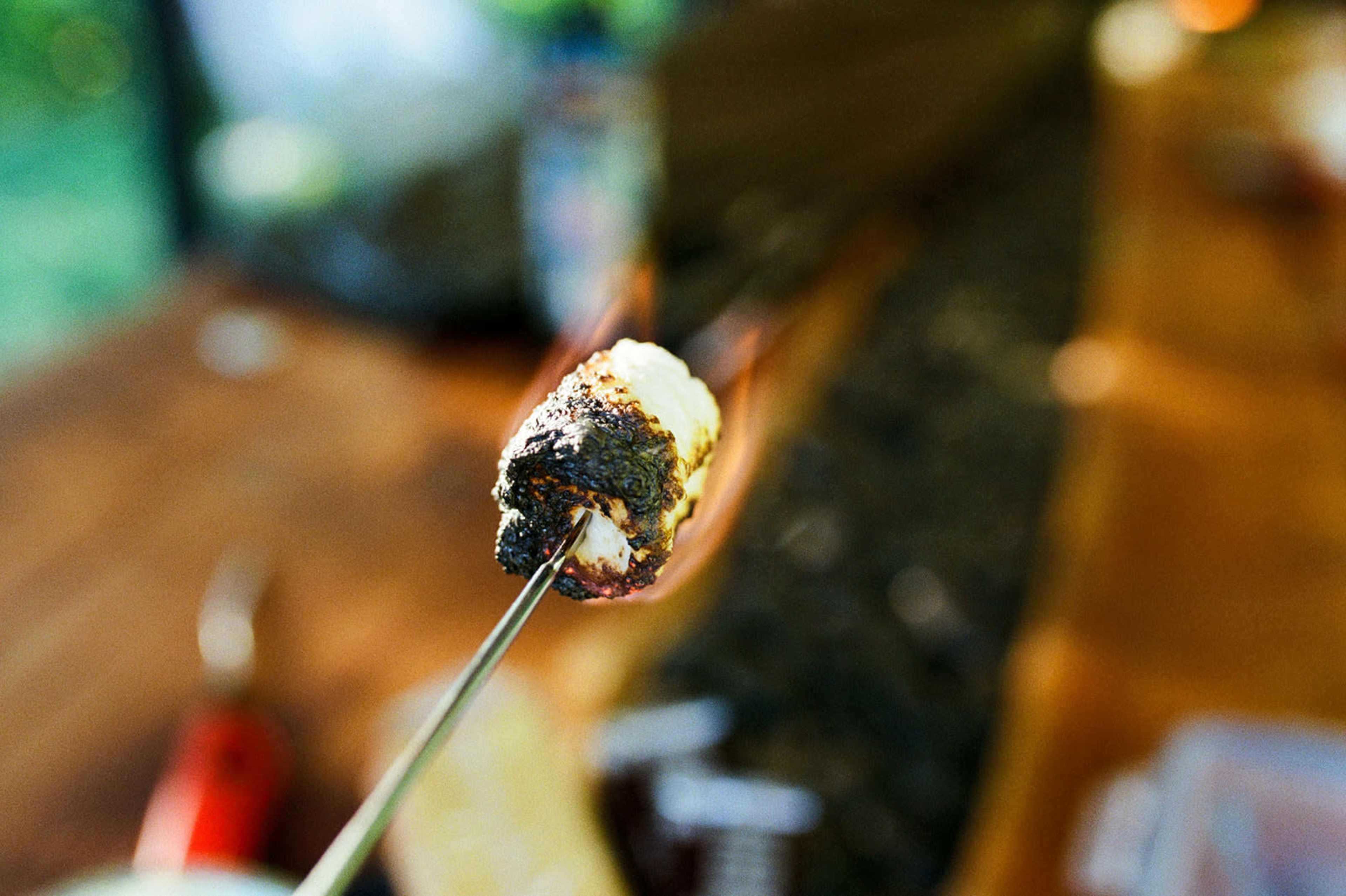 A skewer holds a charred piece of food over a fire, with a blurred background.