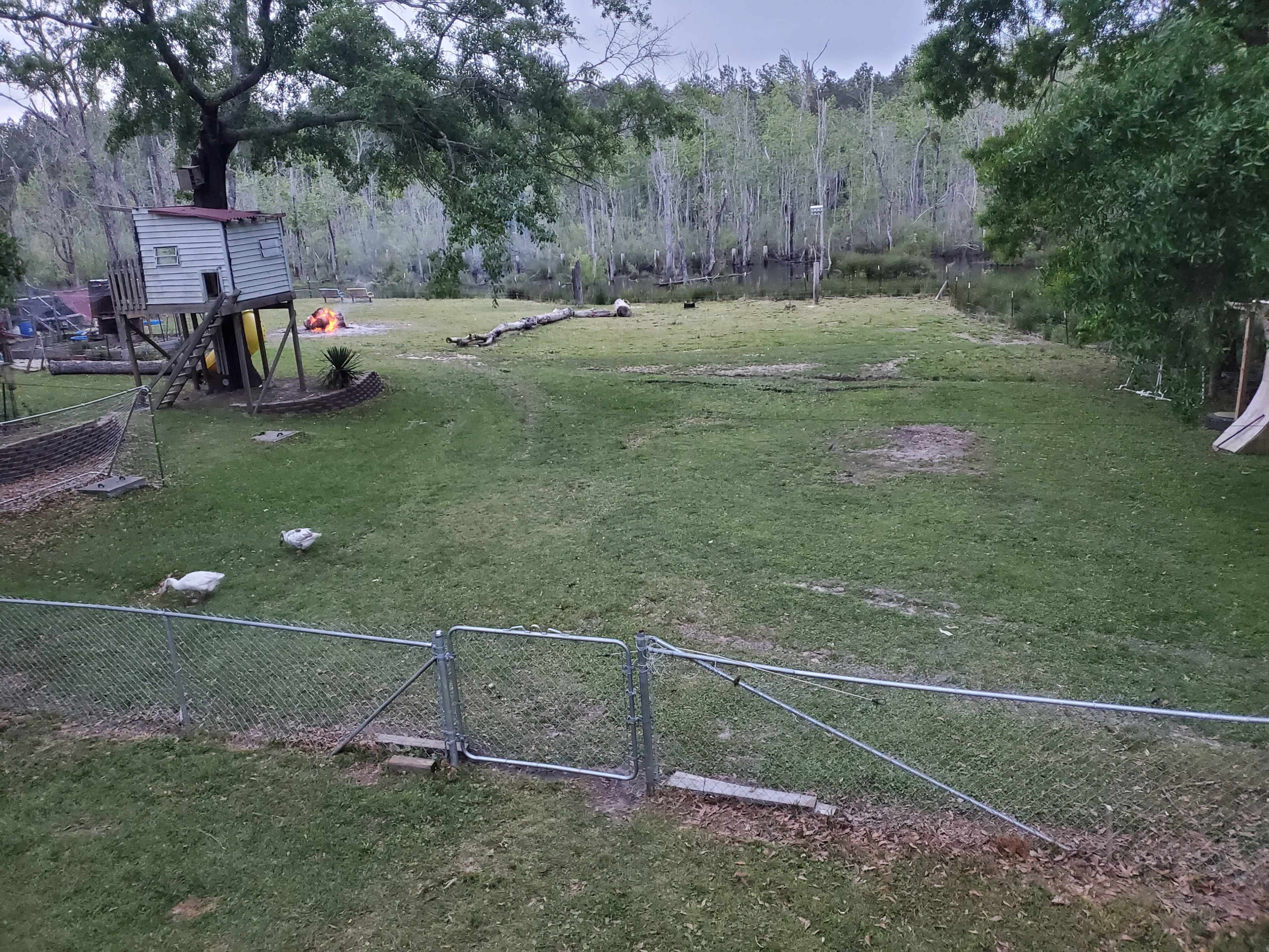 A fenced grassy area near a body of water, with a wooden playhouse, two ducks, and a small fire pit in the background.