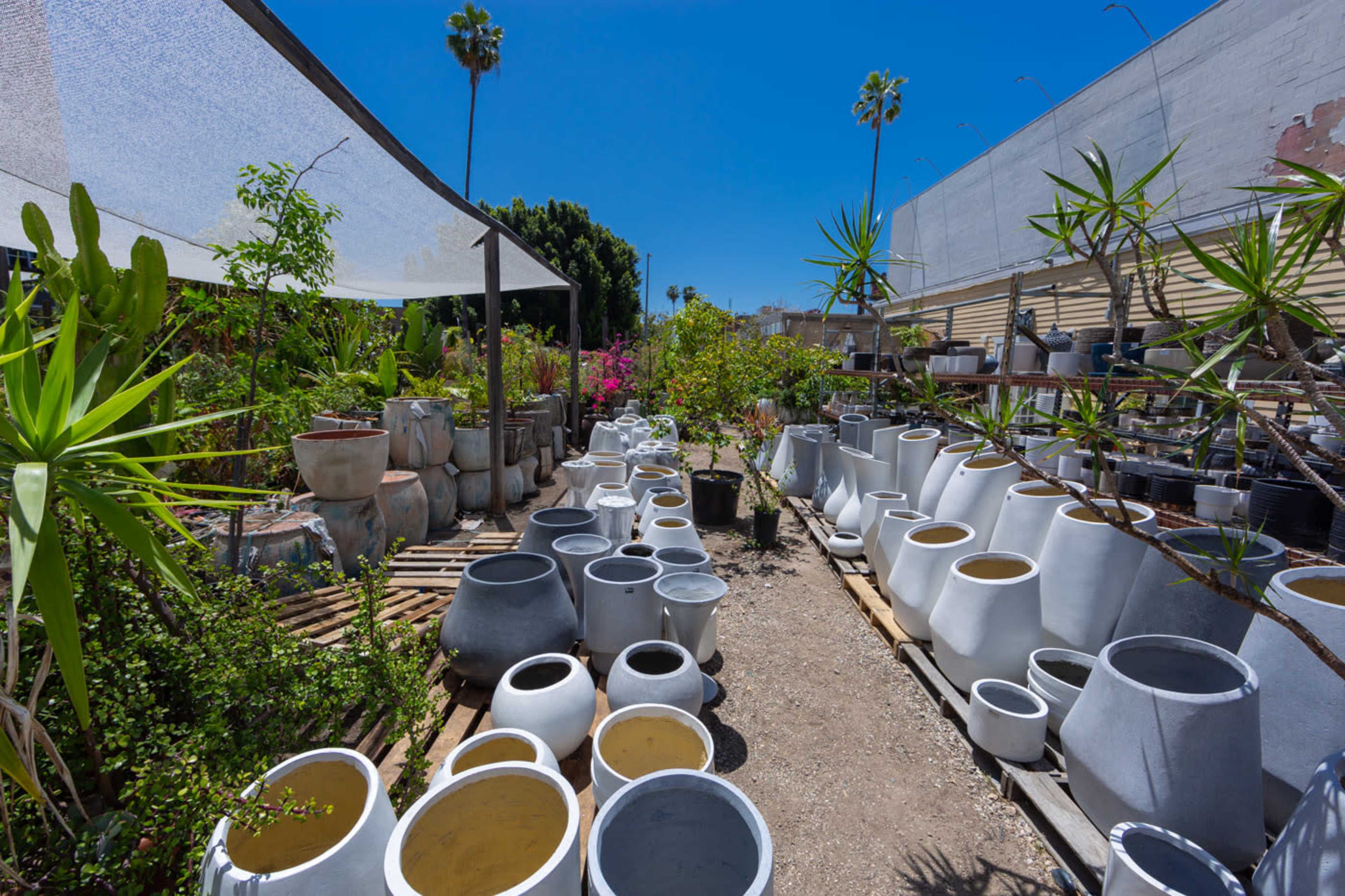 A variety of ceramic plant pots are arranged in a garden center surrounded by lush greenery and palm trees under a clear blue sky.