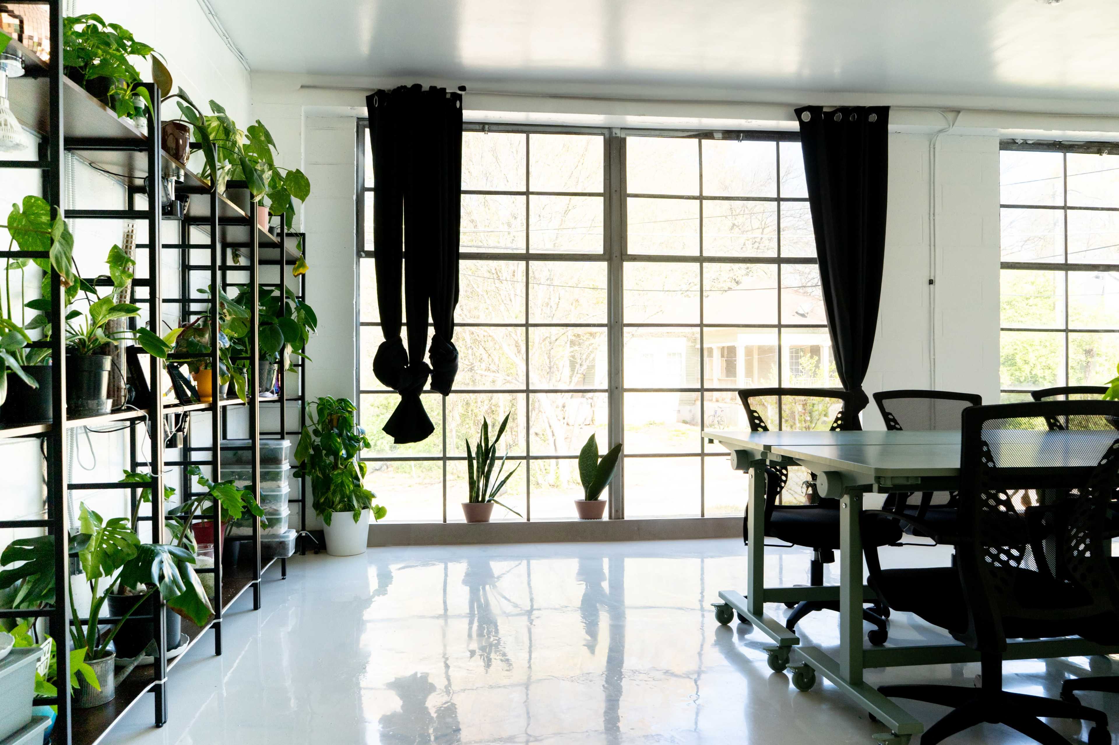 Versatile Plant Studio for Content Creators, Team Meetings, and Workshops Image in Lakewood Heights, Atlanta, GA