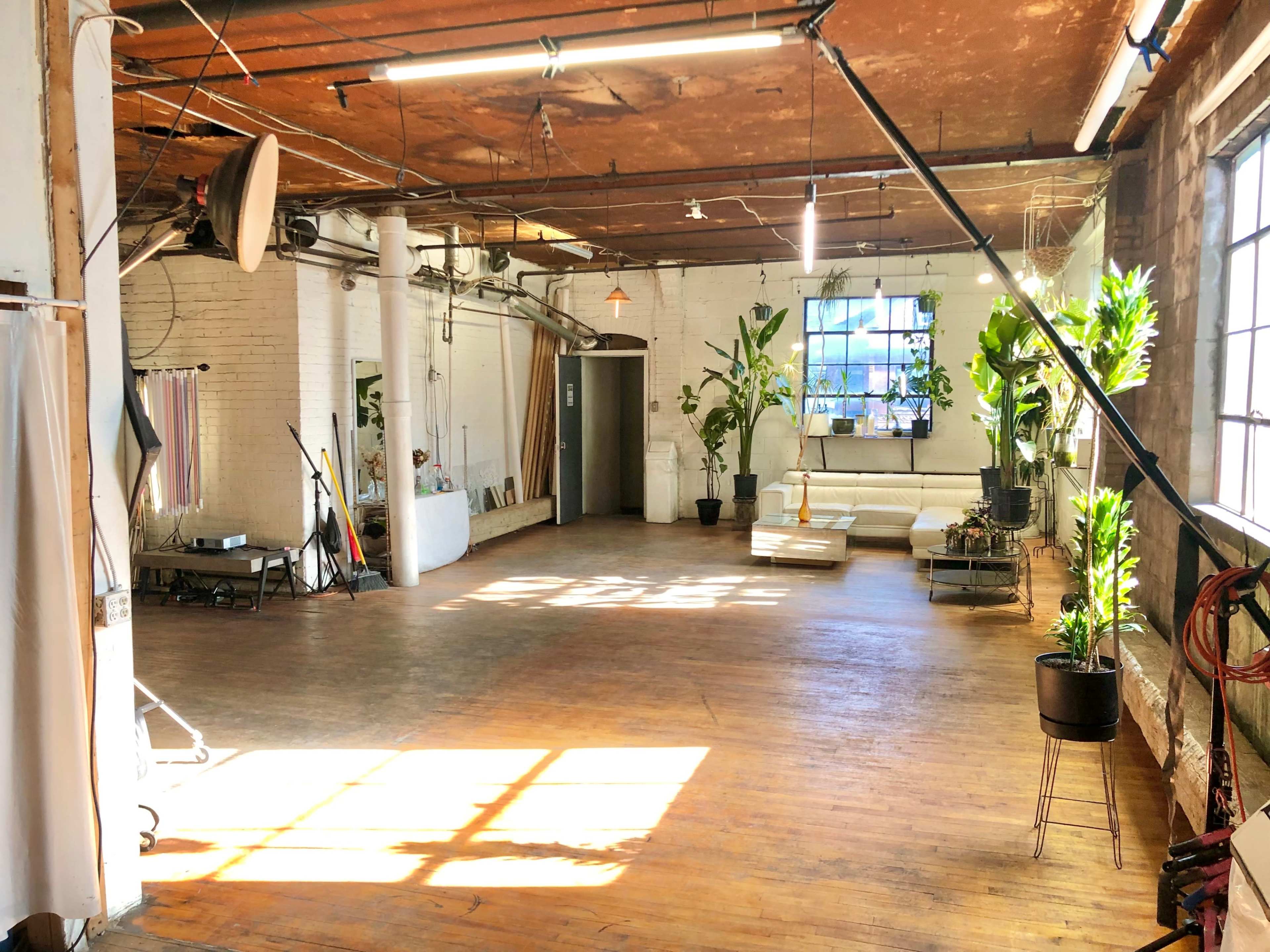 The image shows a spacious, well-lit indoor studio featuring a large window, wooden floors, and several plants arranged around a light-colored sofa.