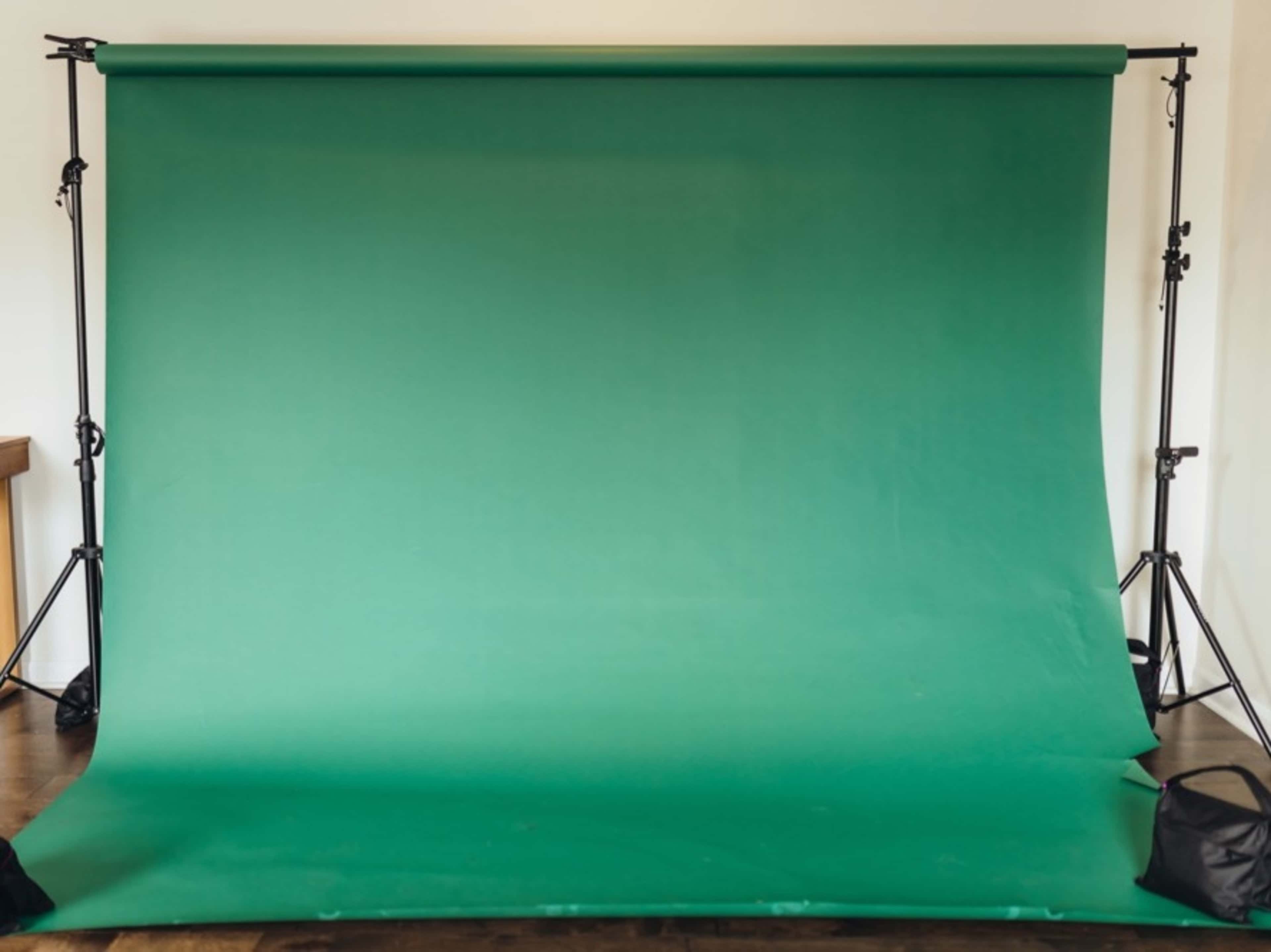 Evergreen Paper Backdrop Rental