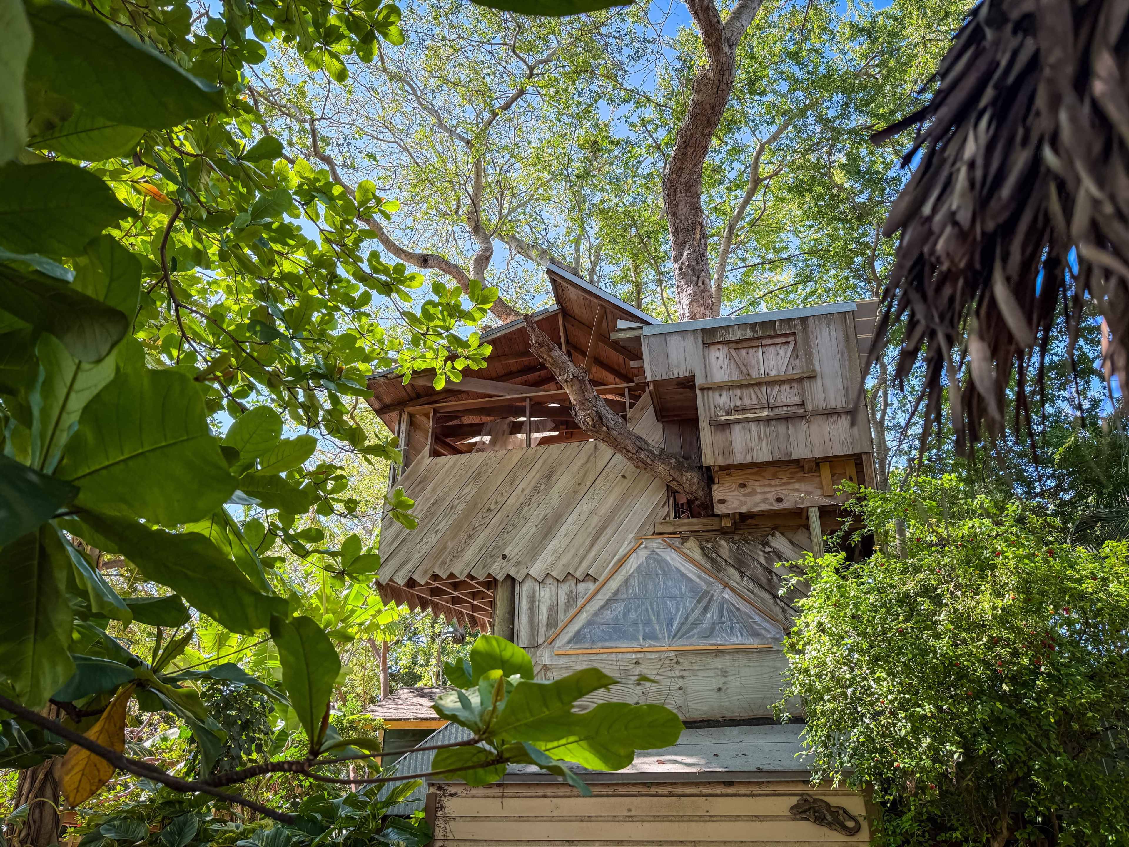 Nature-Filled Farm and Animal Sanctuary Shoot/ Event Location Image in Little River, Miami, FL
