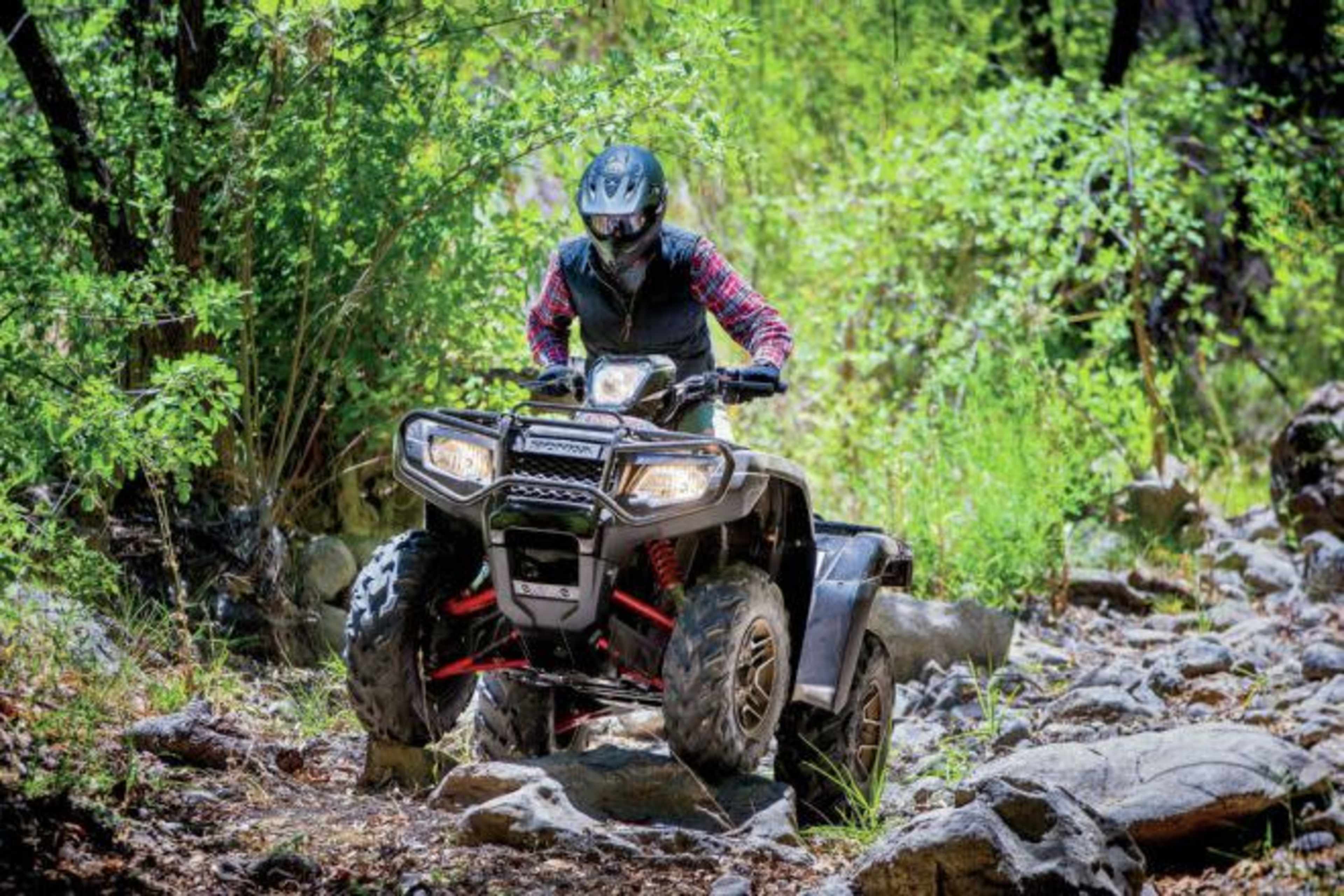 A person rides an all-terrain vehicle over rocky terrain in a wooded area.