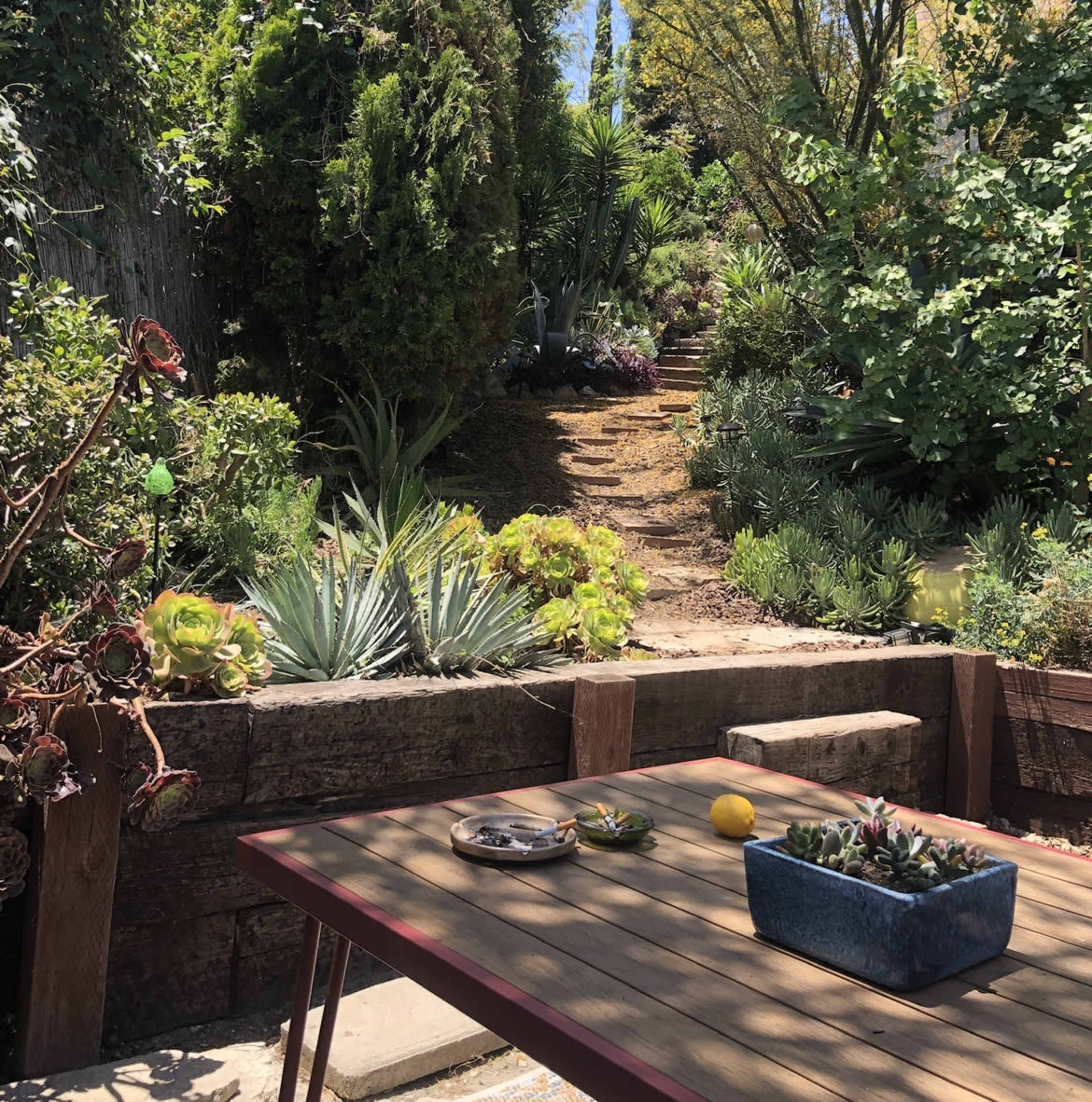 A wooden table with a plate and a lemon is positioned in a garden surrounded by various plants and a stone pathway leading upwards.