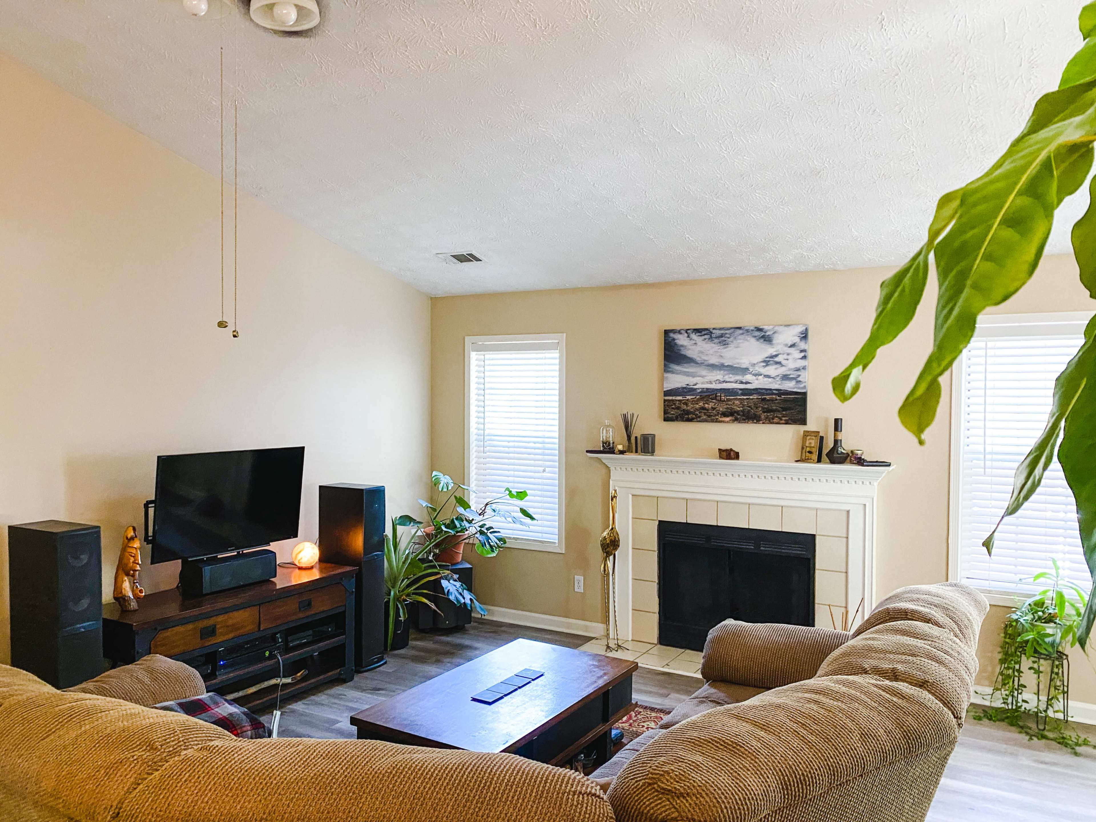 The image shows a cozy living room with a sectional sofa, a television on a stand, a fireplace, and several plants.